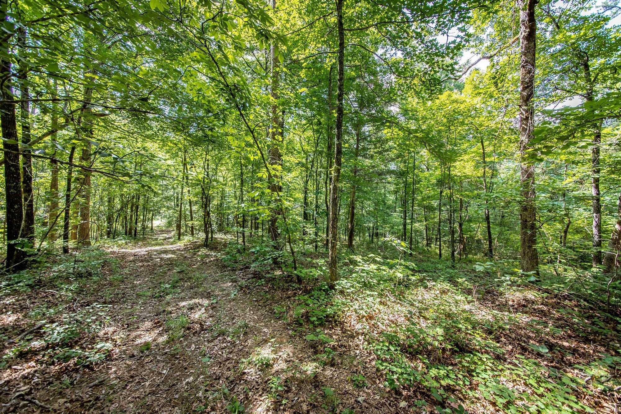 Highway 16 West Property Photo 17