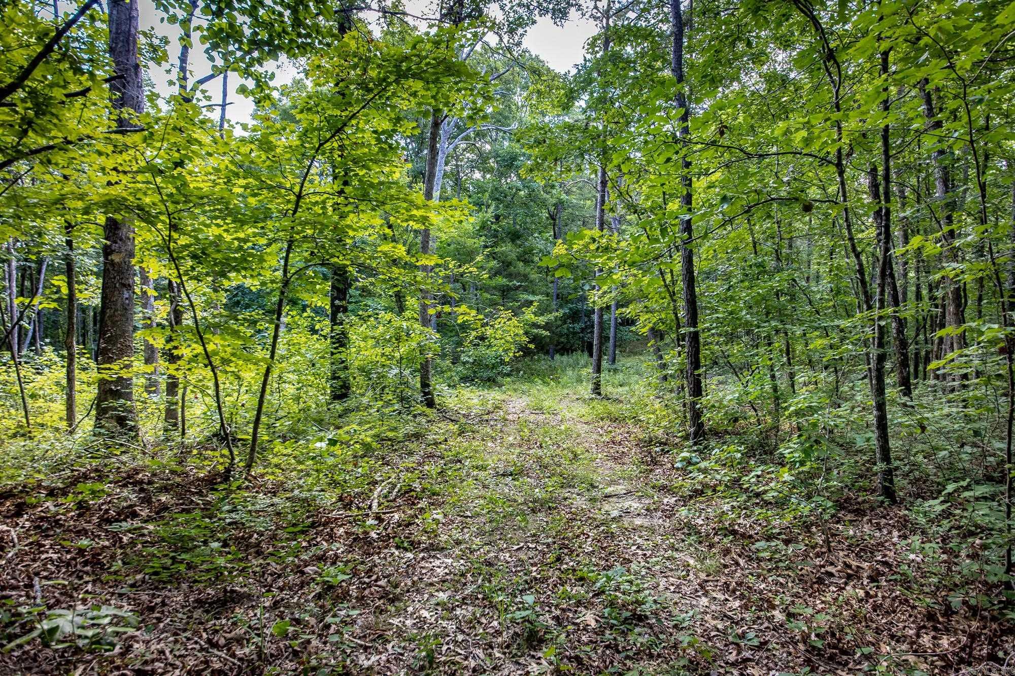 Highway 16 West Property Photo 18
