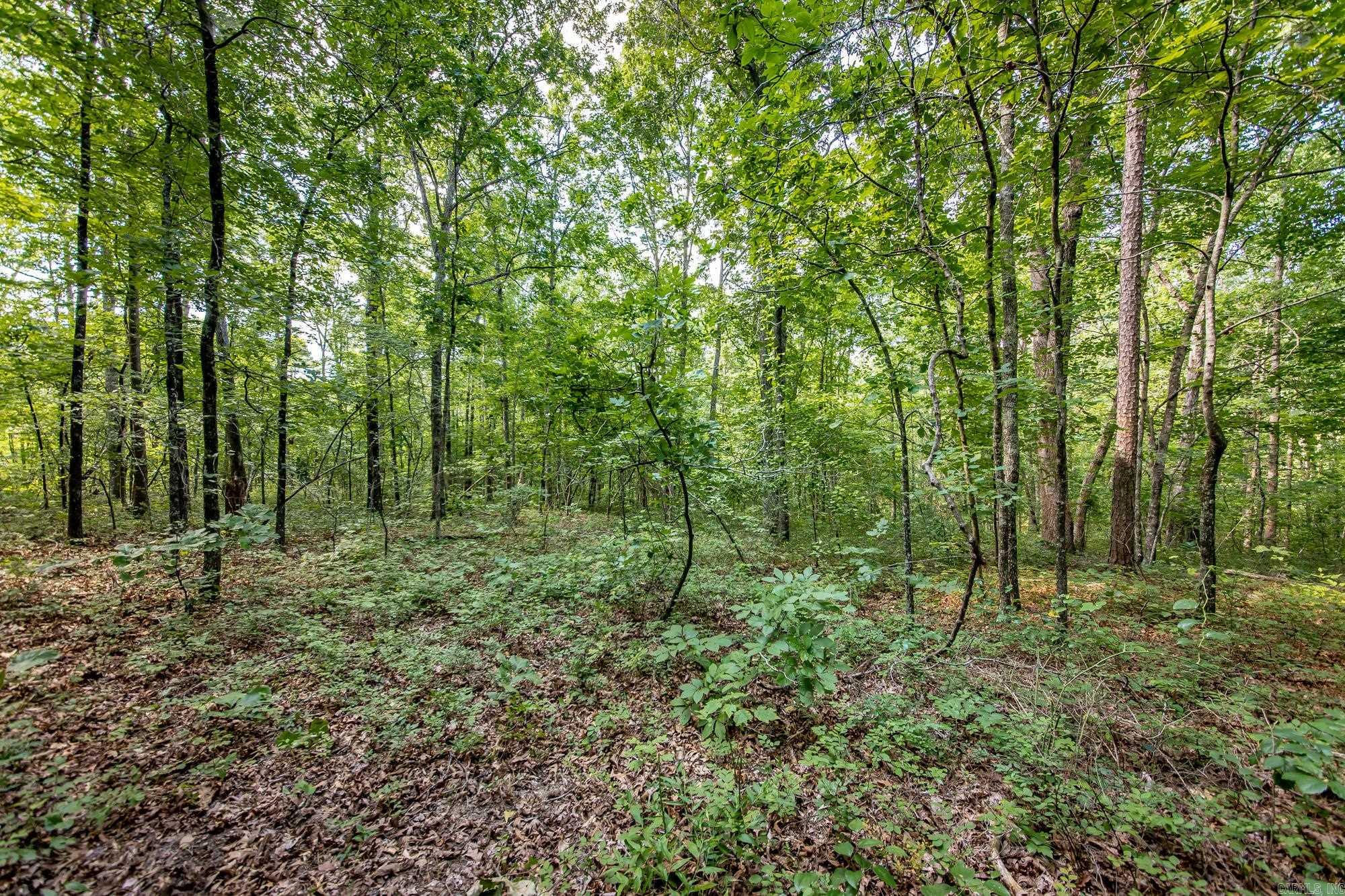 Highway 16 West Property Photo 19