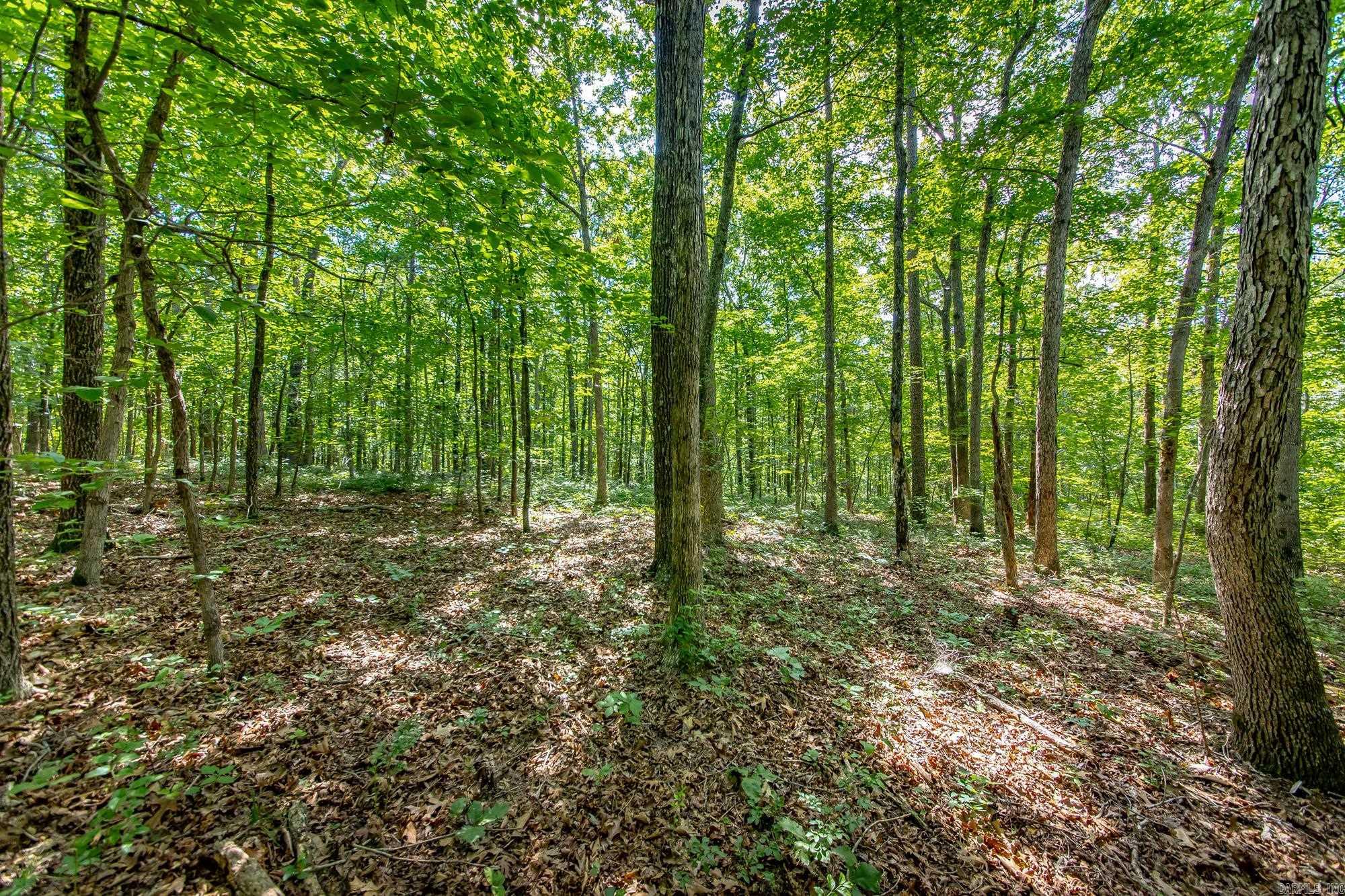 Highway 16 West Property Photo 20