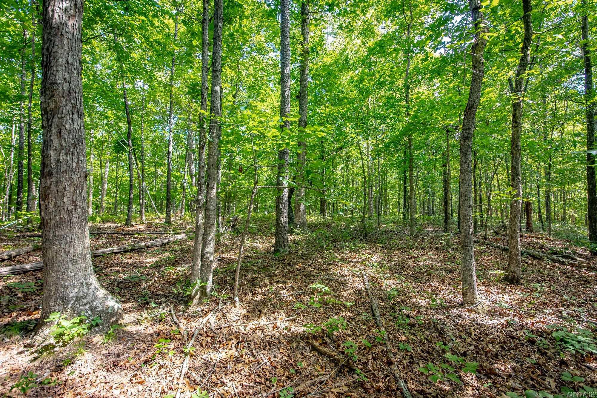 Highway 16 West Property Photo 21
