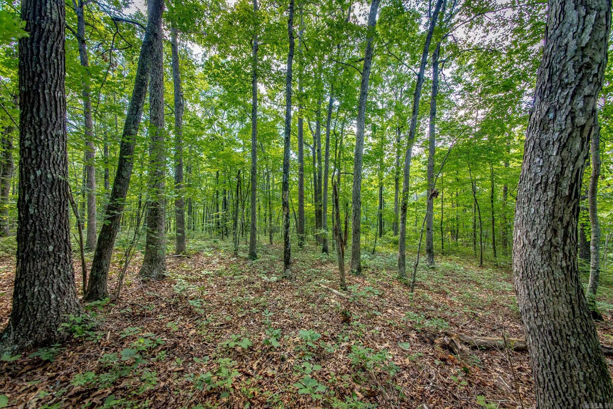 Highway 16 West Property Photo 22