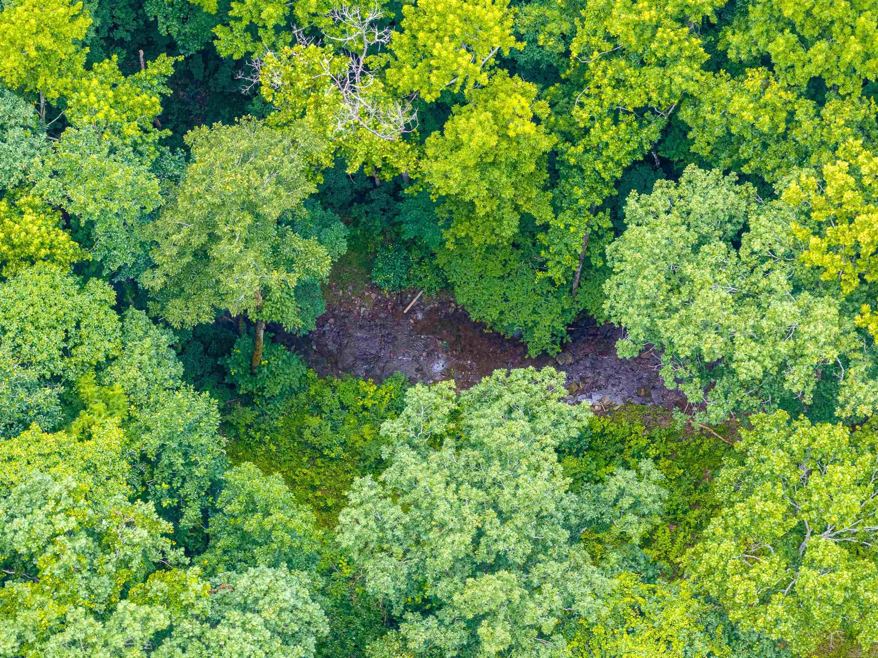 Highway 16 West Property Photo 50