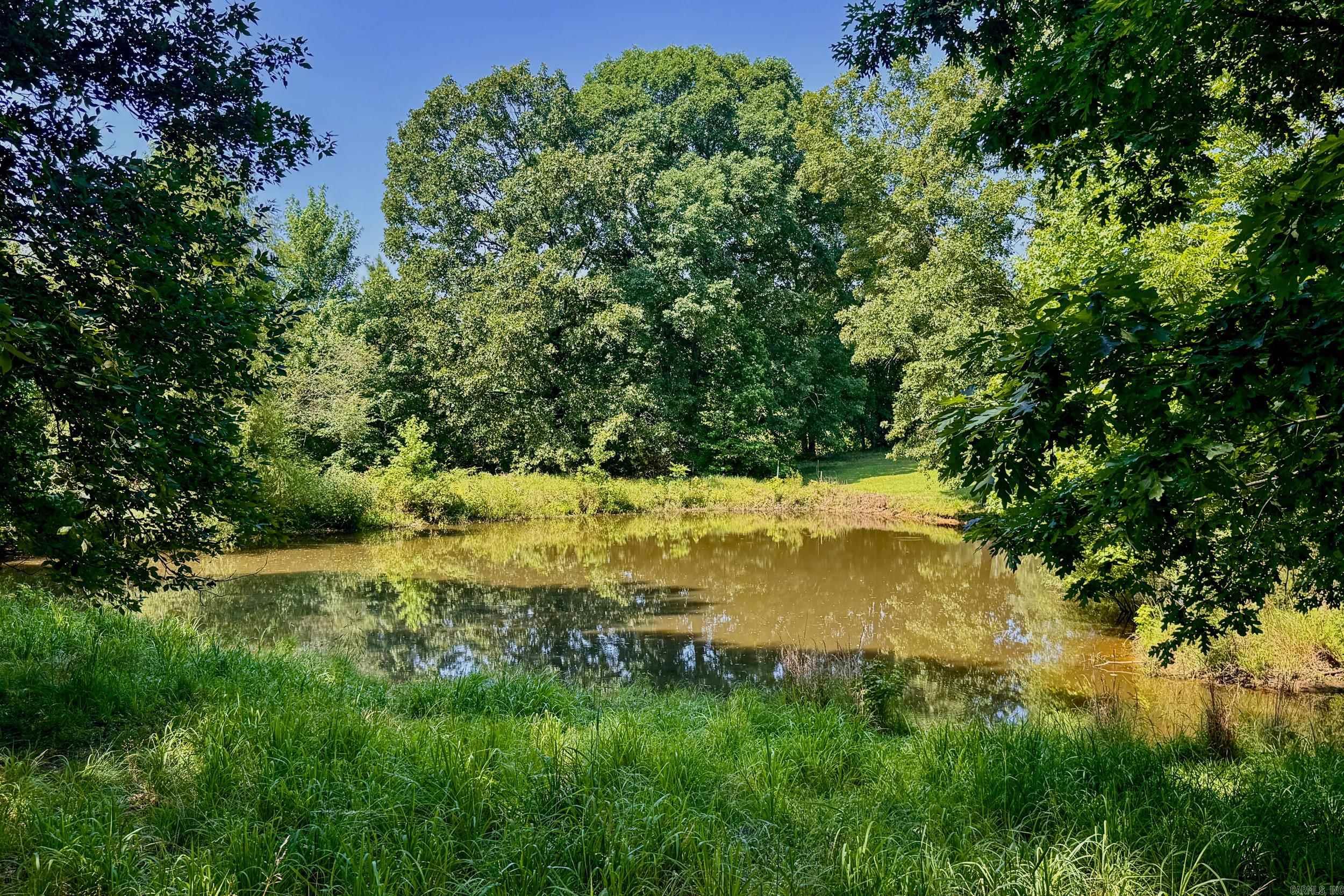 49 Floyd Road Property Photo 41