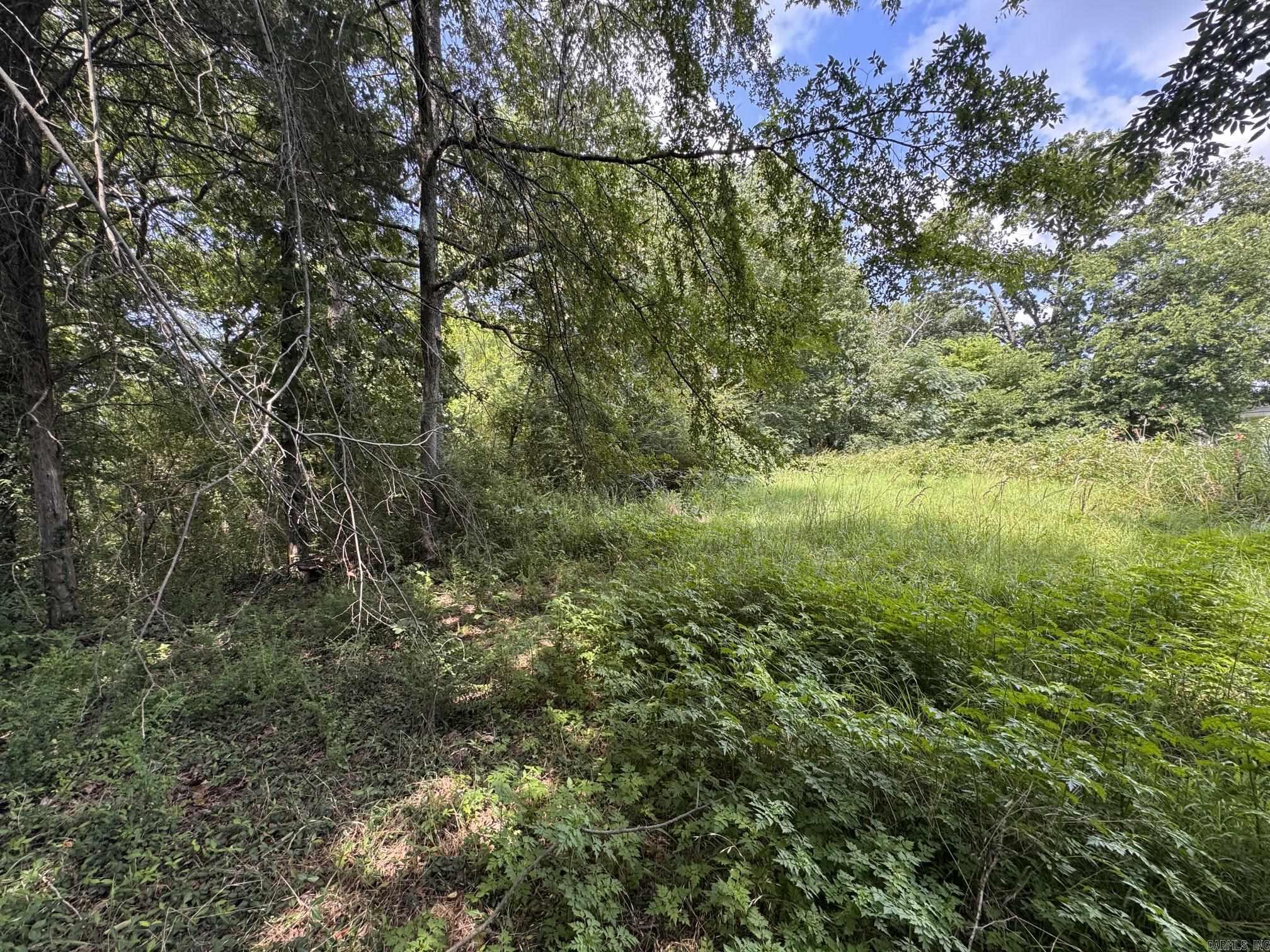 713 N Montgomery Street Property Photo 13
