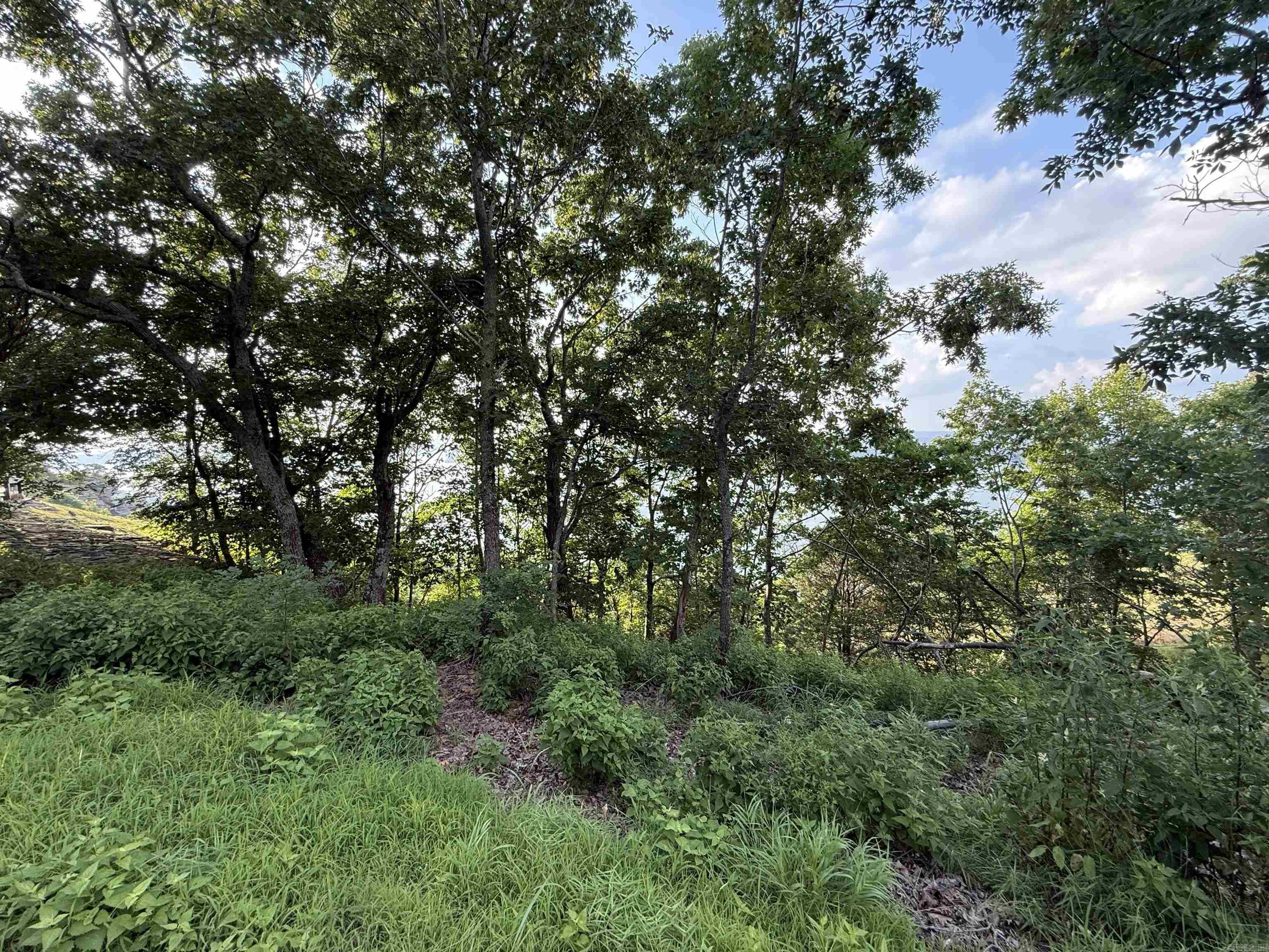 Pt Lot 1 Diamond Bluff Rd Property Photo 6