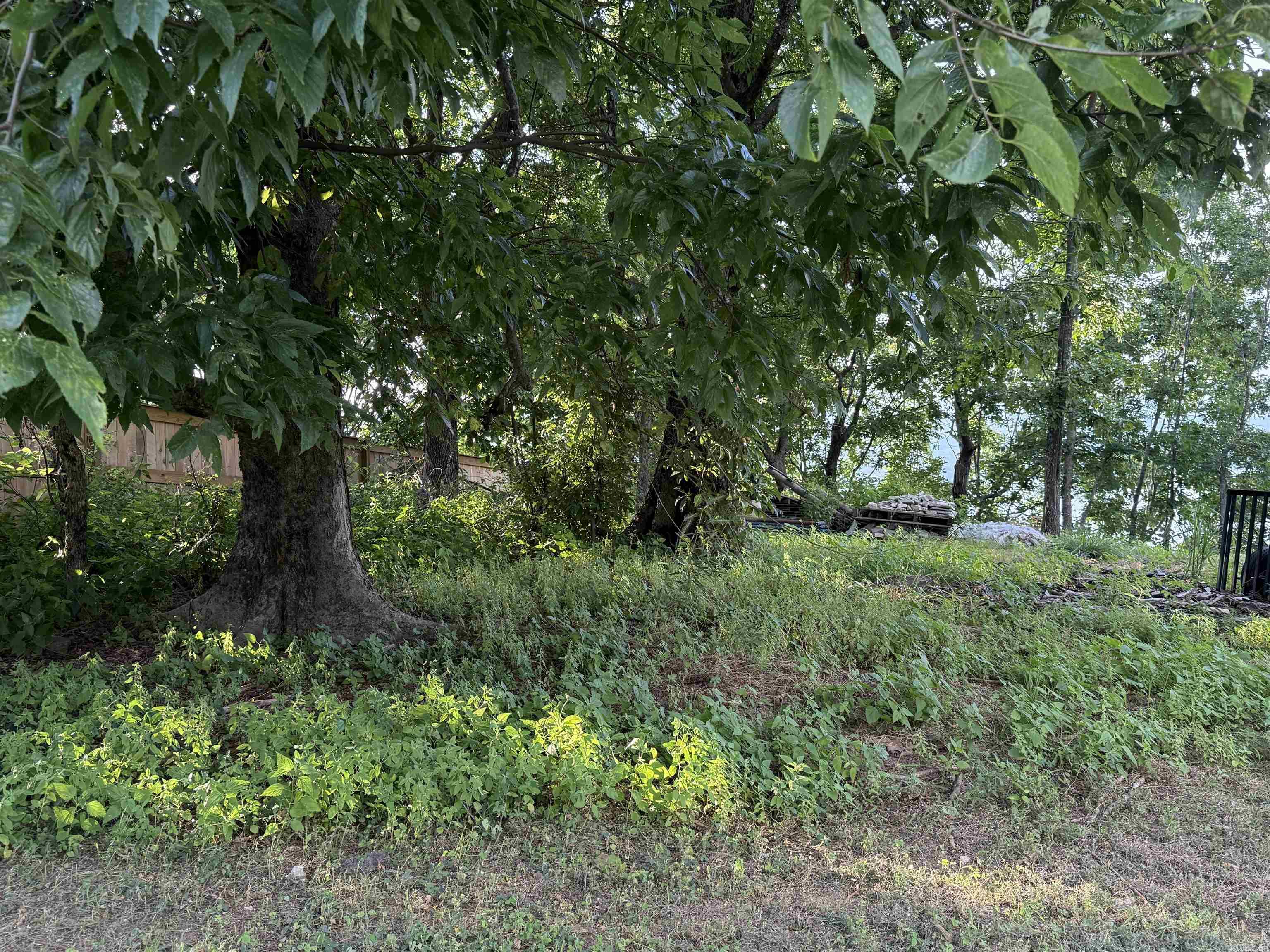 Pt Lot 1 Diamond Bluff Rd Property Photo 14