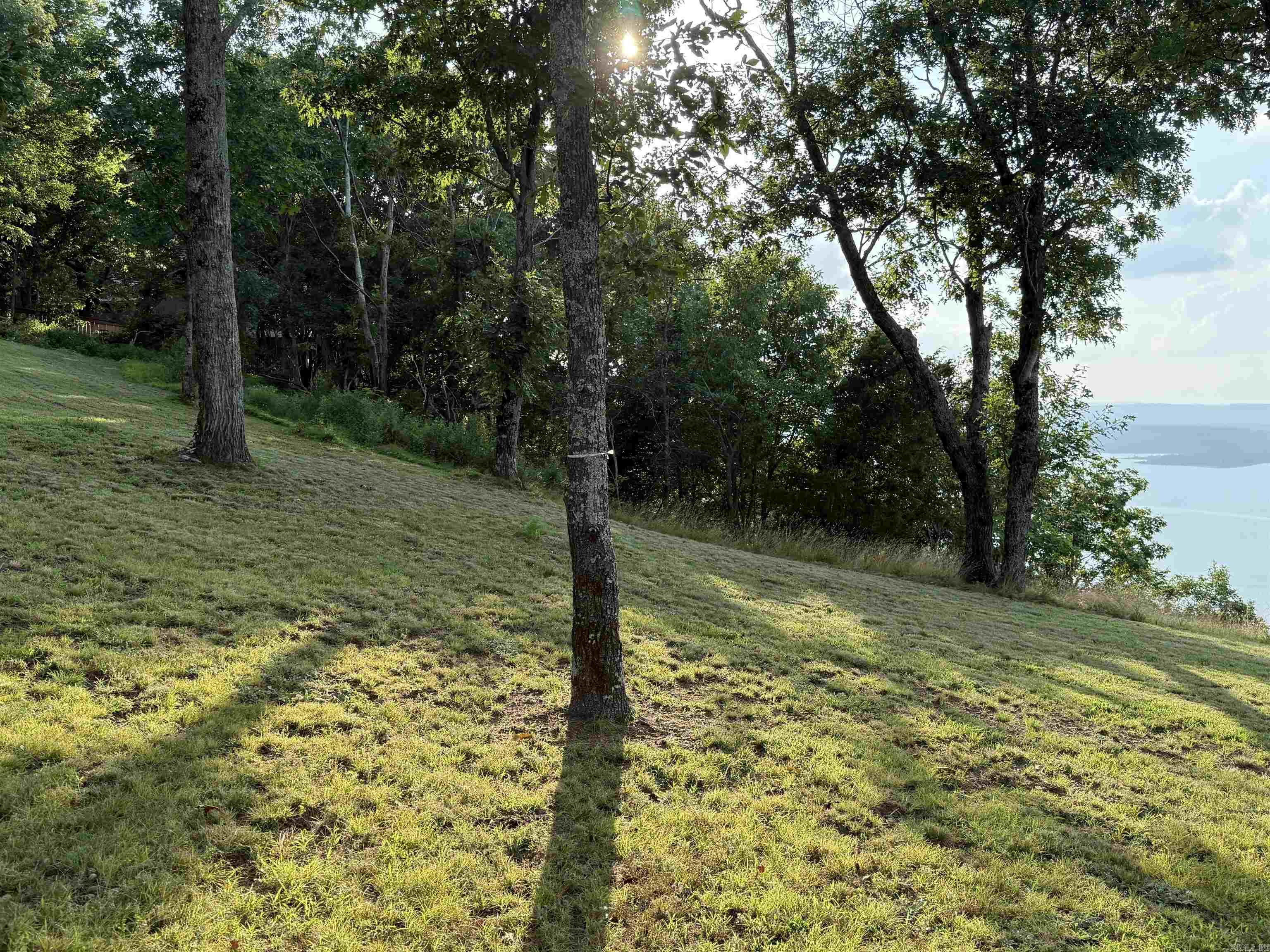 Pt Lot 1 Diamond Bluff Rd Property Photo 15