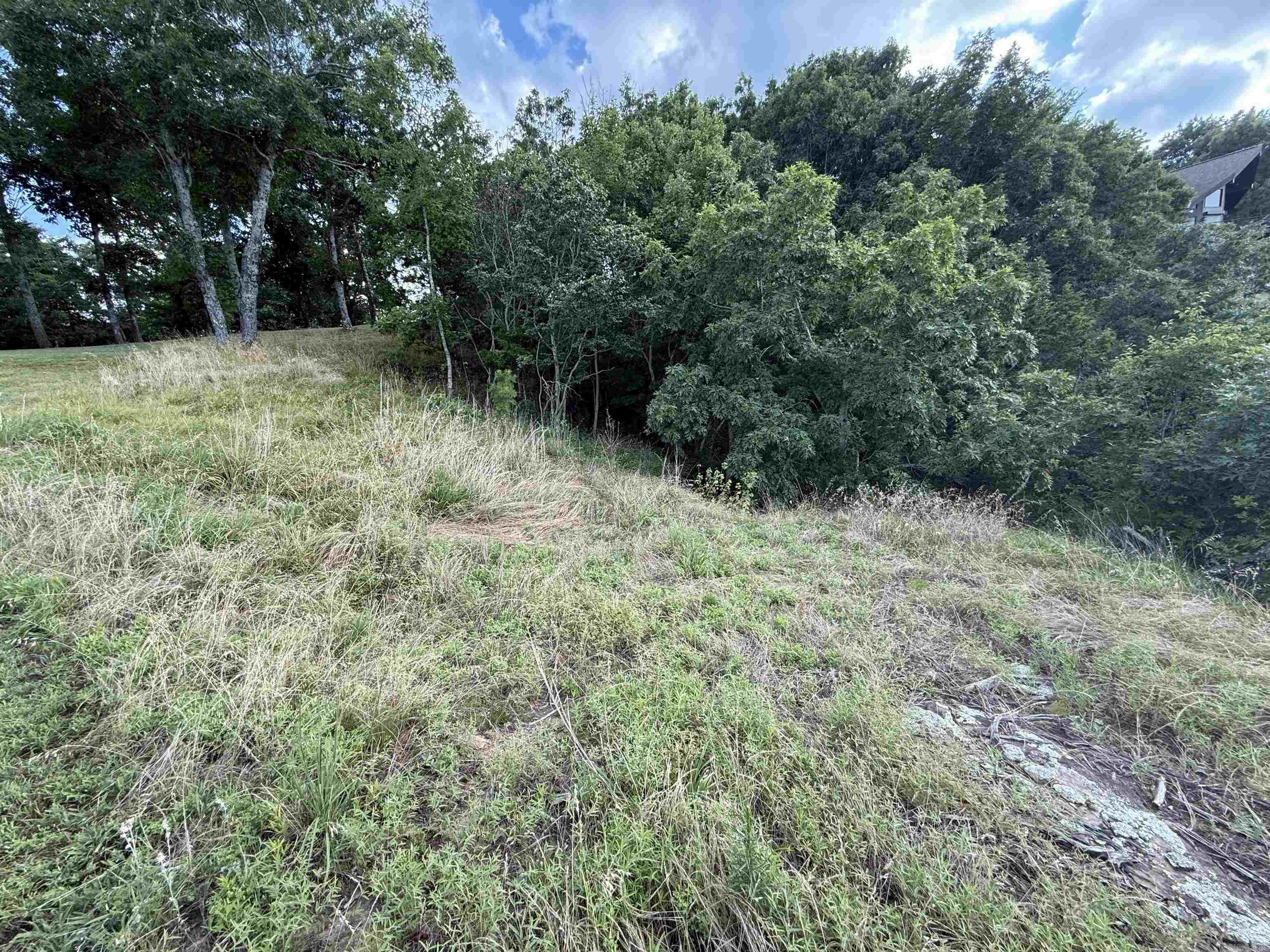 Pt Lot 1 Diamond Bluff Rd Property Photo 16