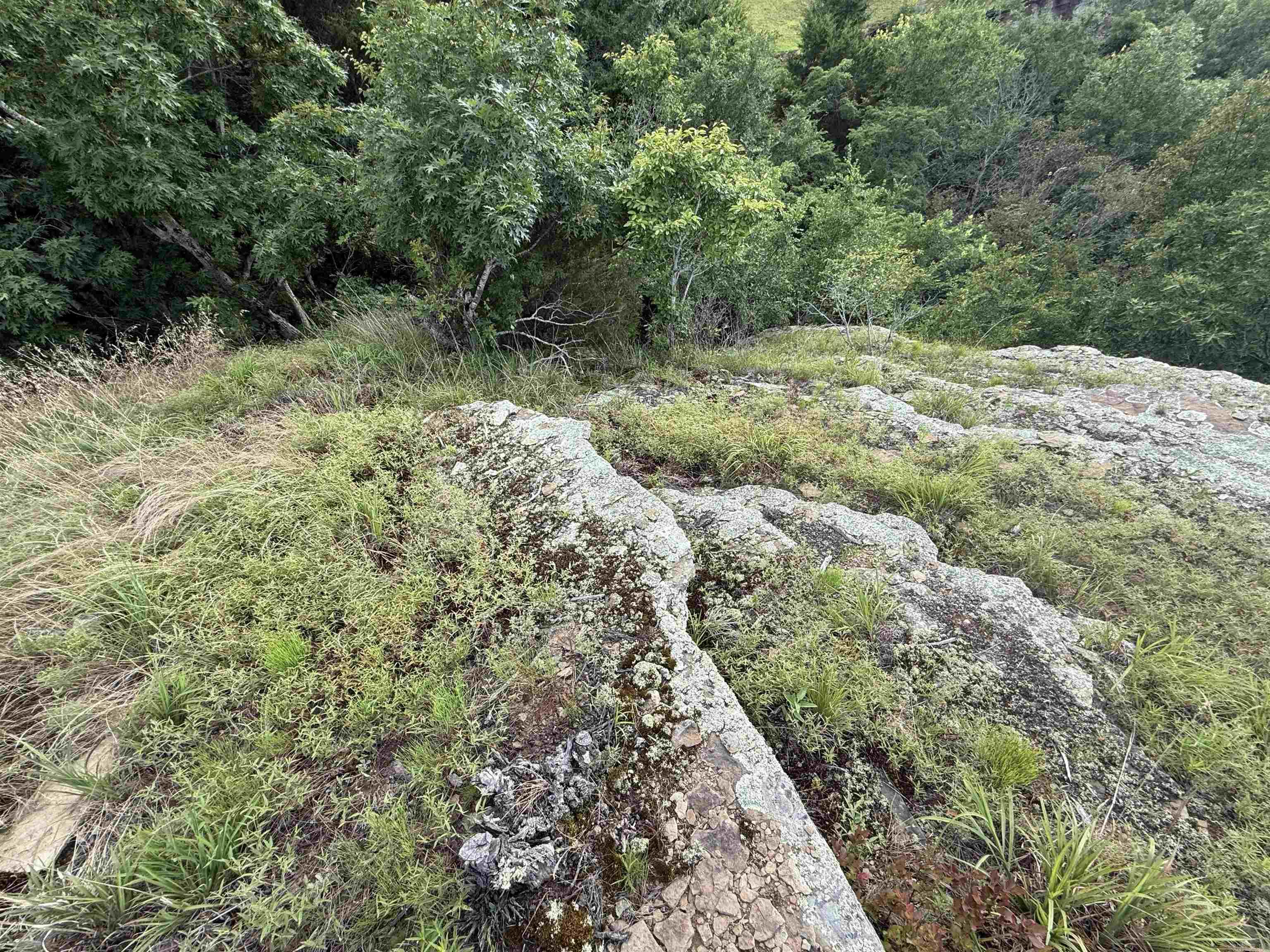 Pt Lot 1 Diamond Bluff Rd Property Photo 27
