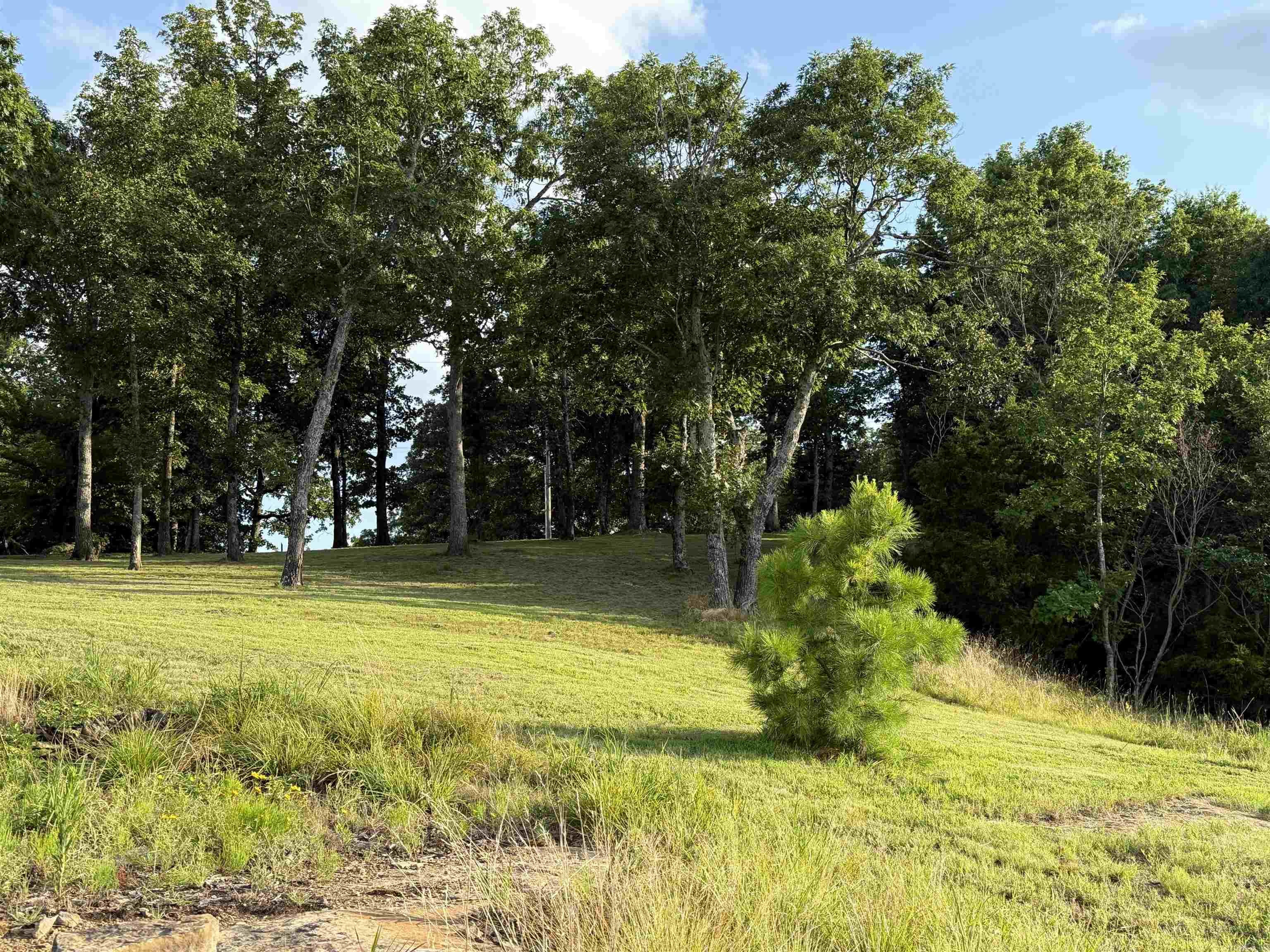 Pt Lot 1 Diamond Bluff Rd Property Photo 33
