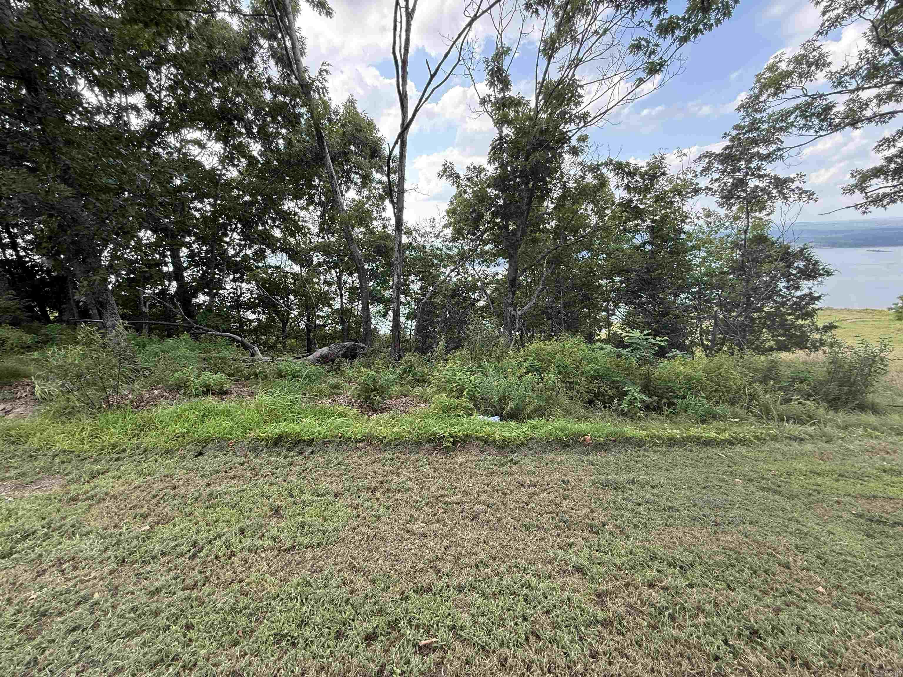 Pt Lot 1 Diamond Bluff Rd Property Photo 34