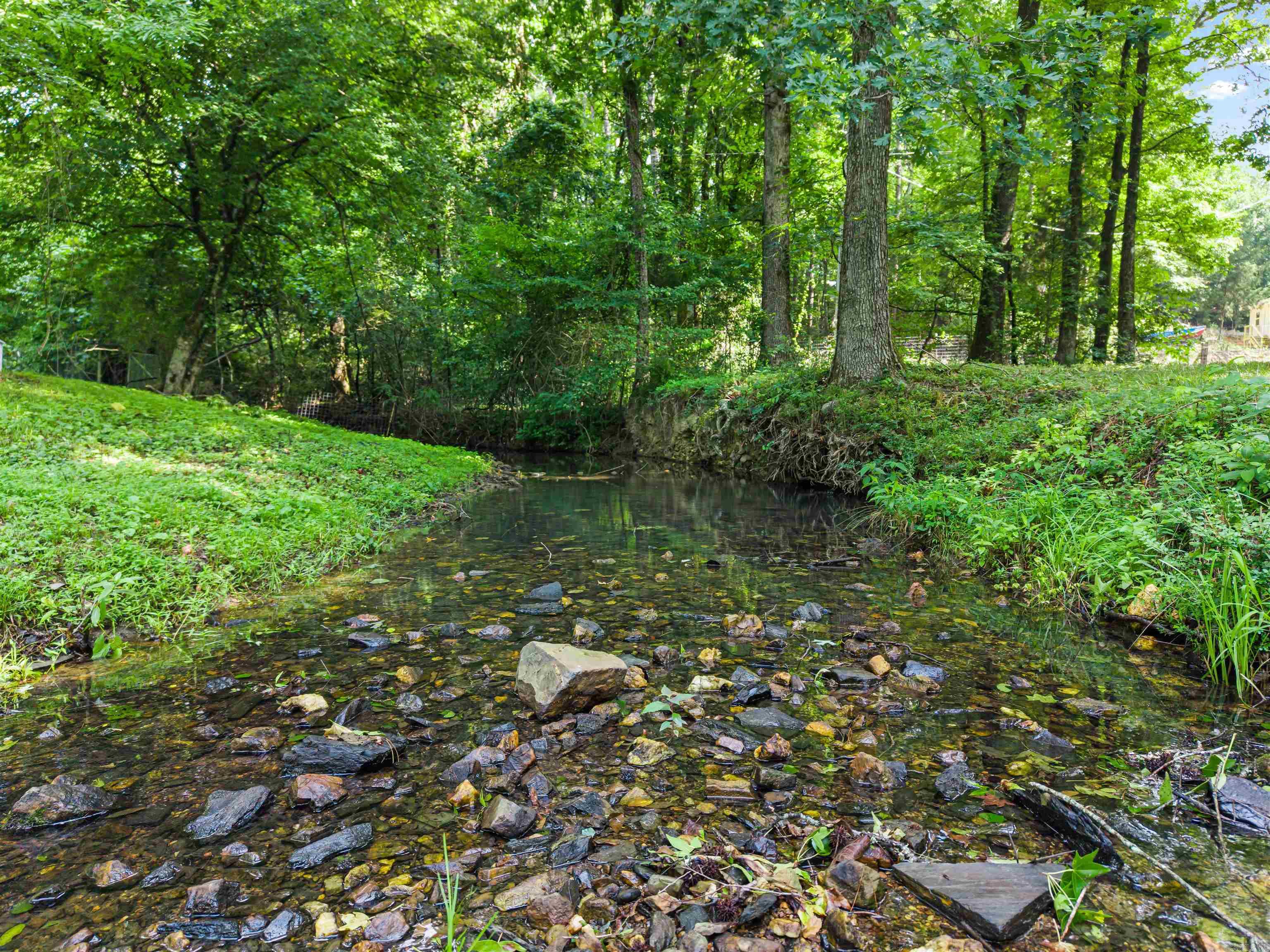 1556 Hamilton Dairy Property Photo 43