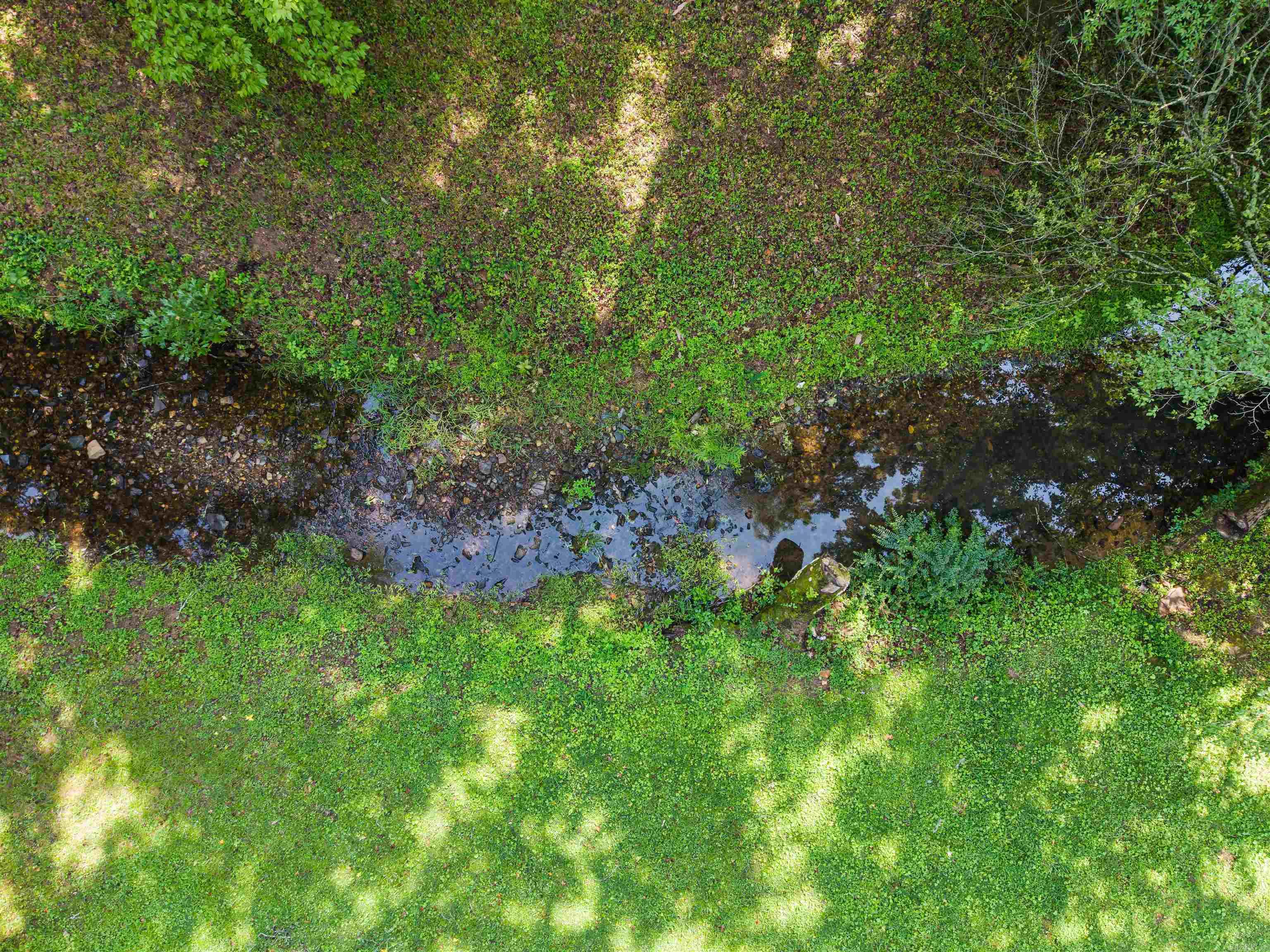 1556 Hamilton Dairy Property Photo 46