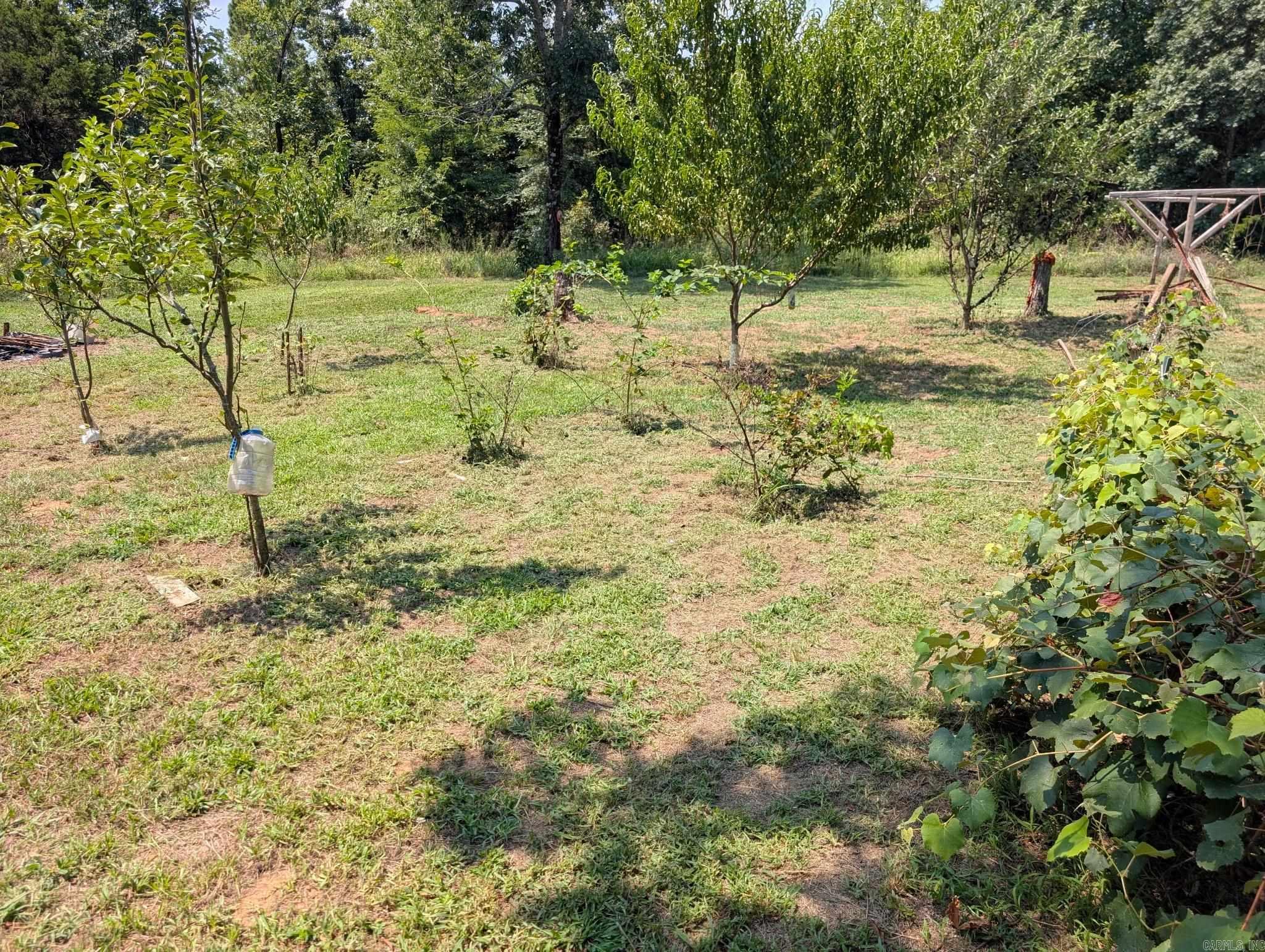 334 C Bar C Road Property Photo 8