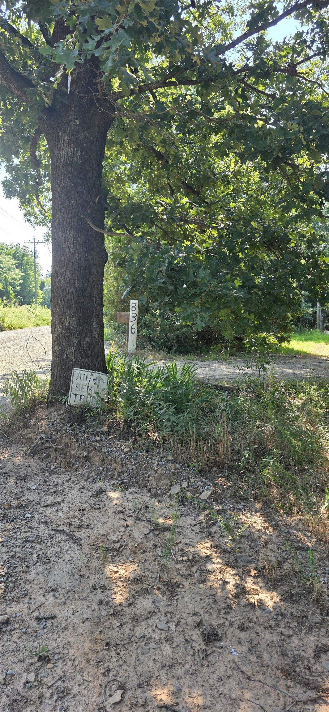 334 C Bar C Road Property Photo 13