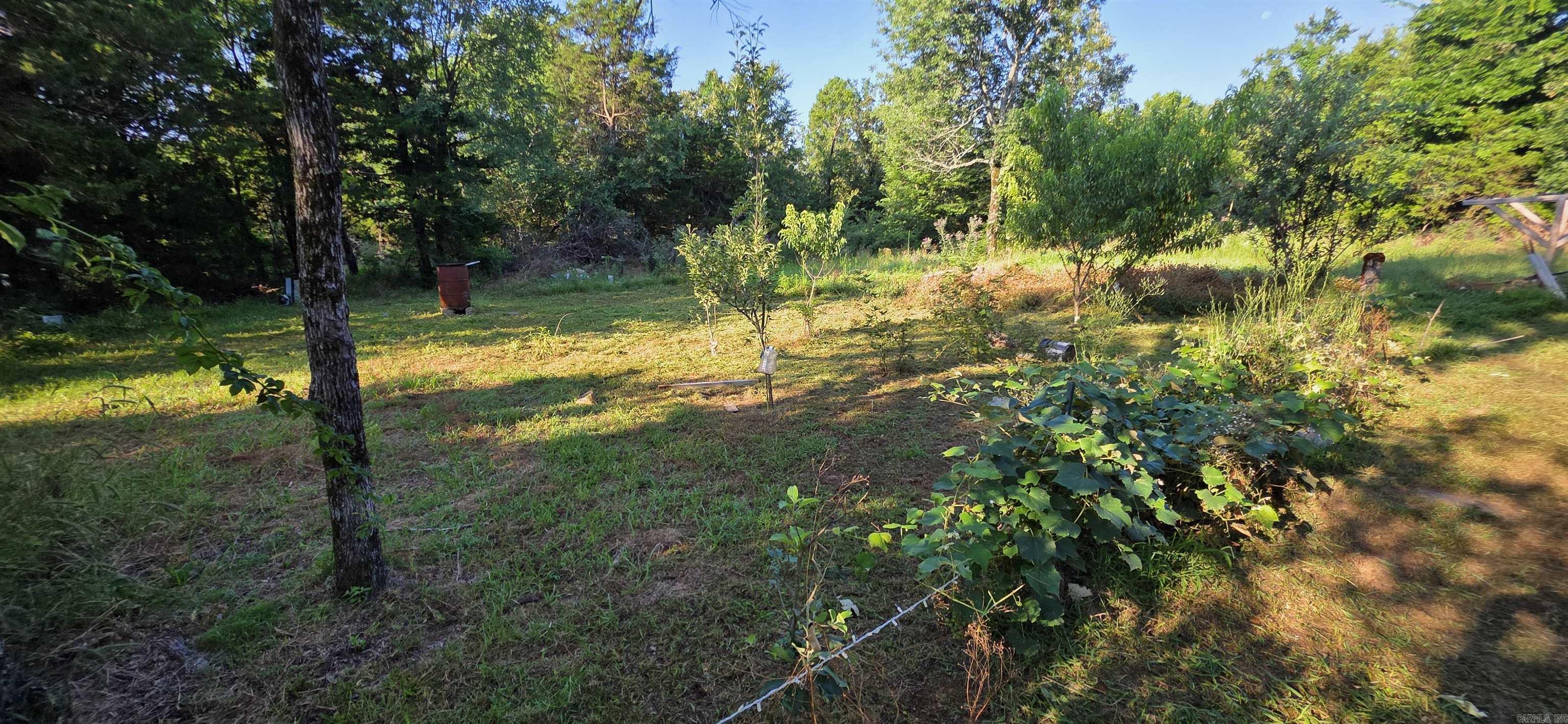 334 C Bar C Road Property Photo 31