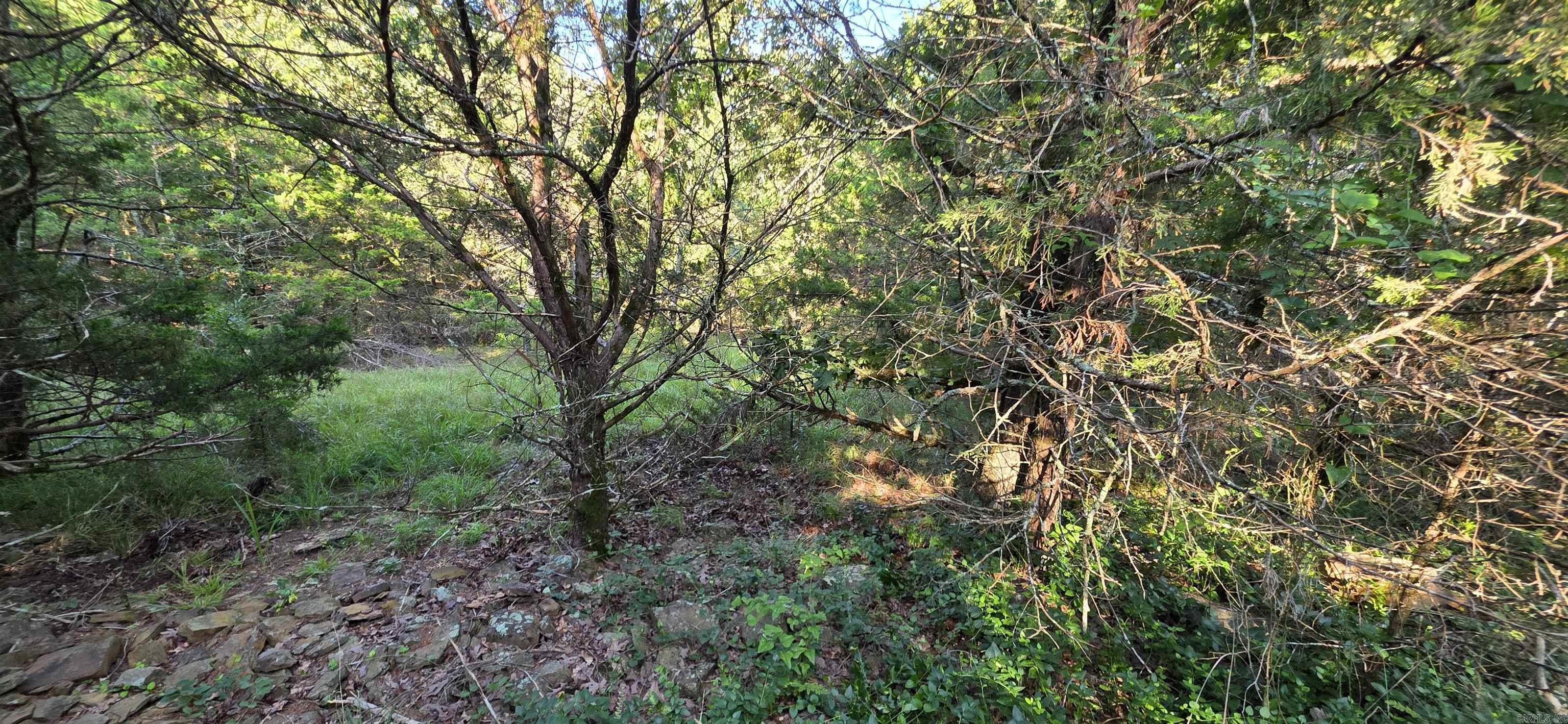 334 C Bar C Road Property Photo 34