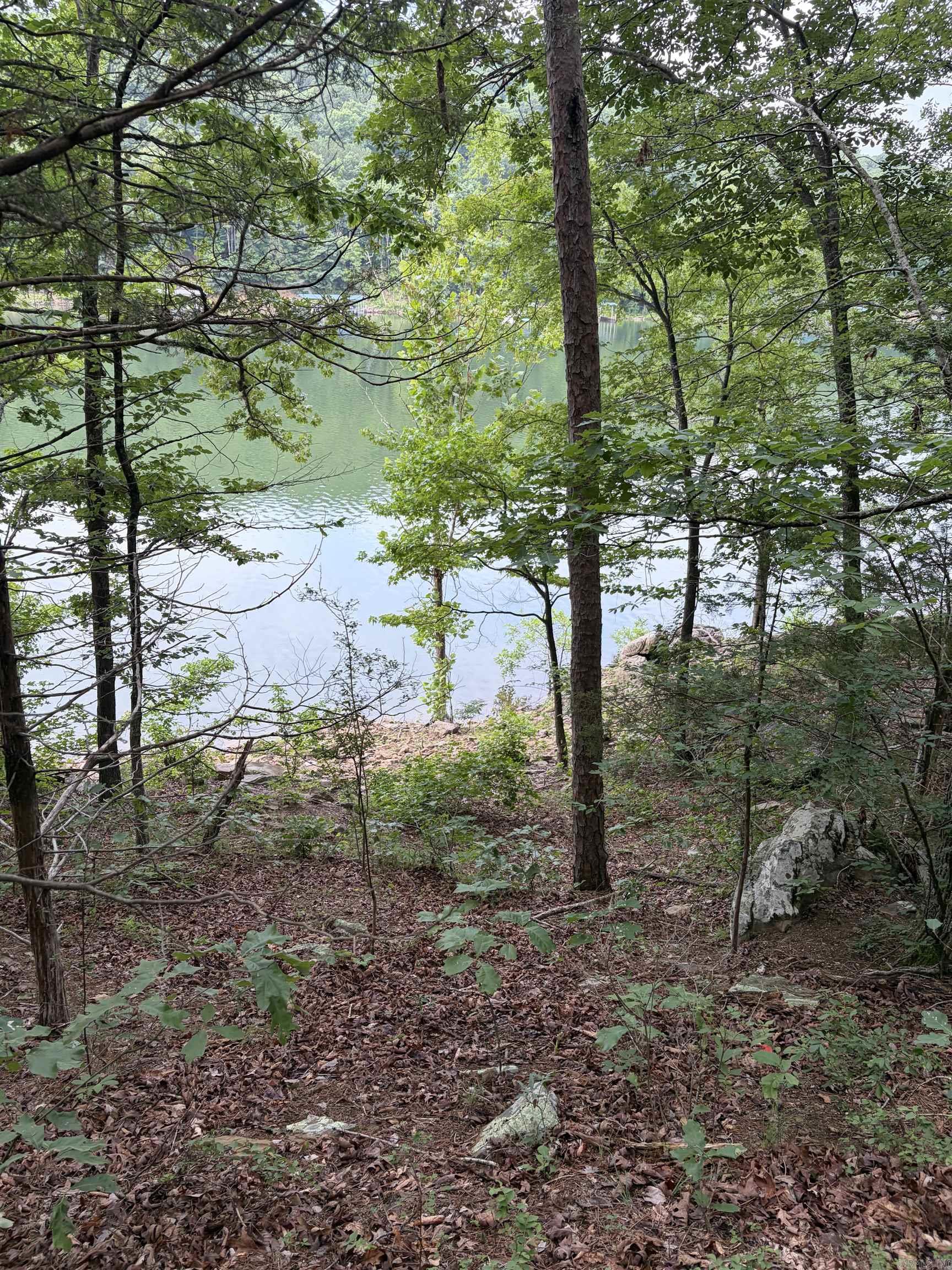 Bear Mountain Rd. Property Photo 2