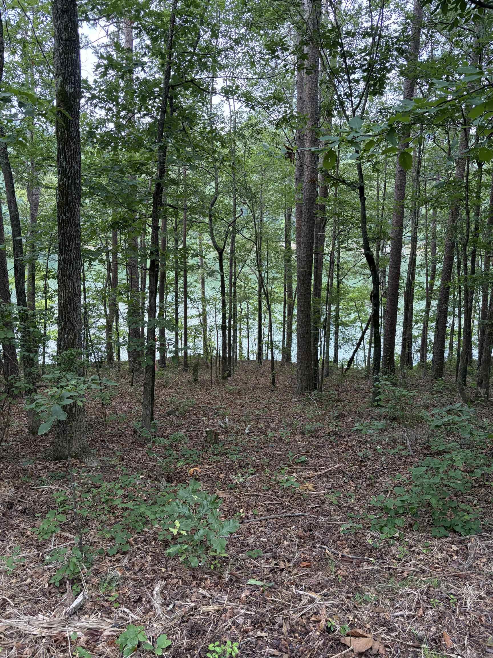 Bear Mountain Rd. Property Photo 3