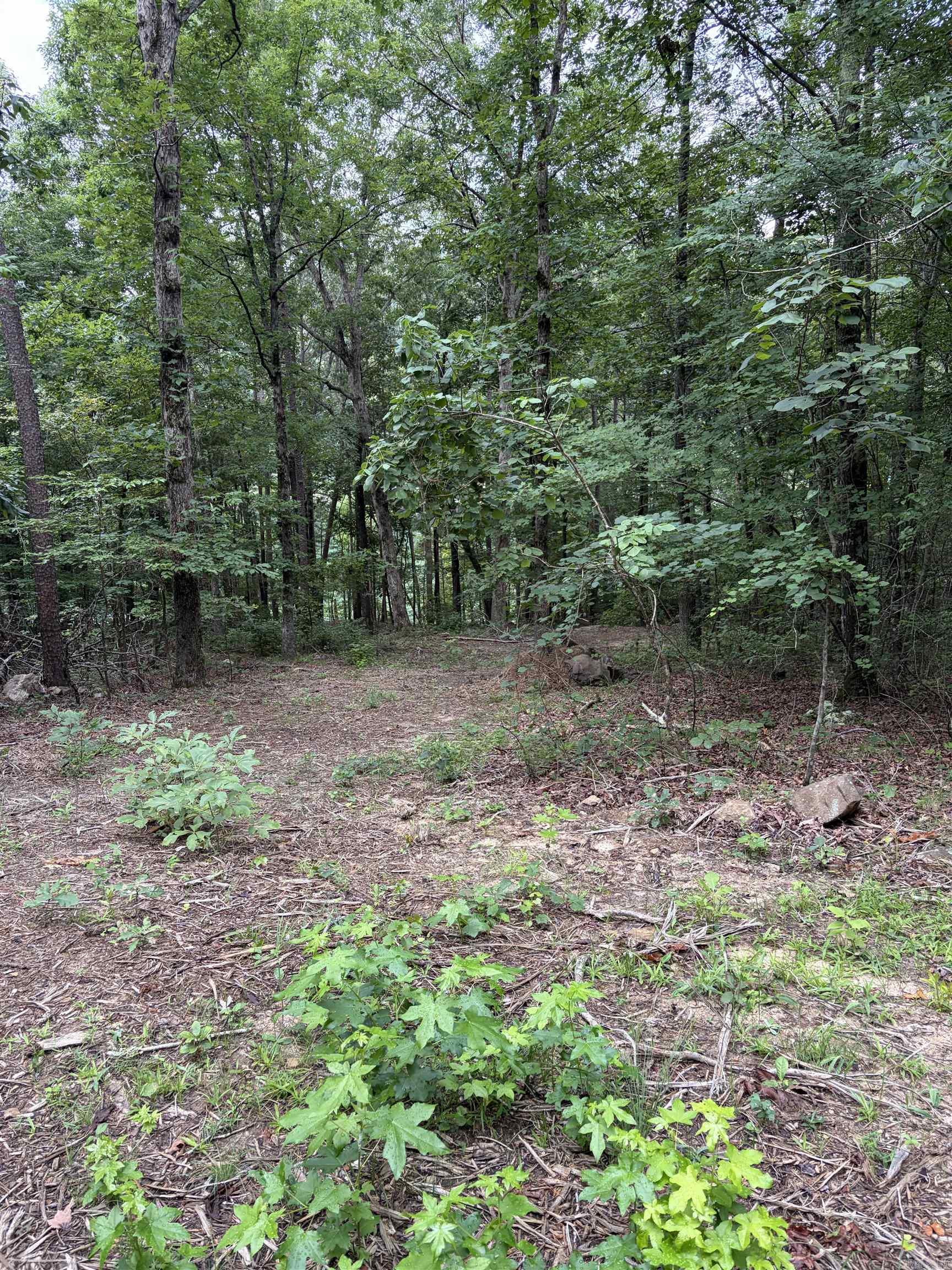 Bear Mountain Rd. Property Photo 4