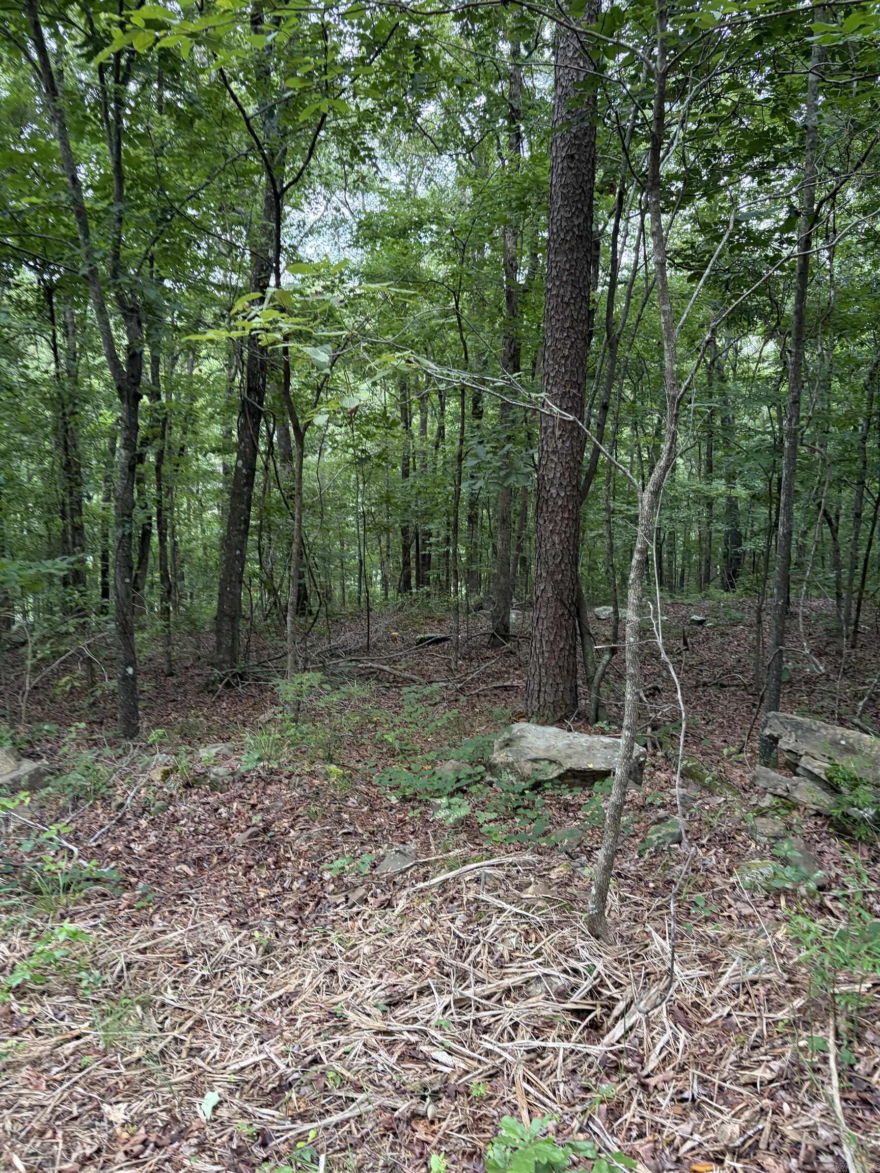 Bear Mountain Rd. Property Photo 5