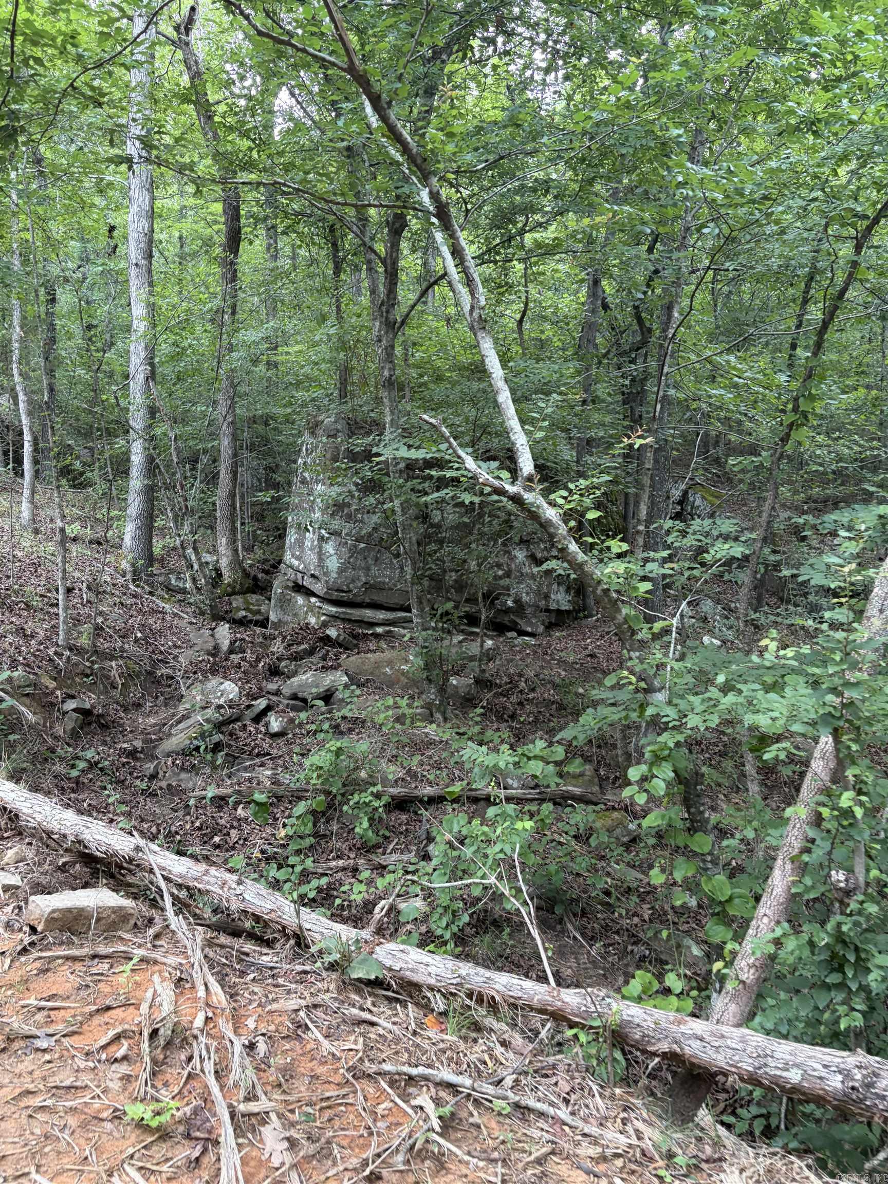Bear Mountain Rd. Property Photo 6