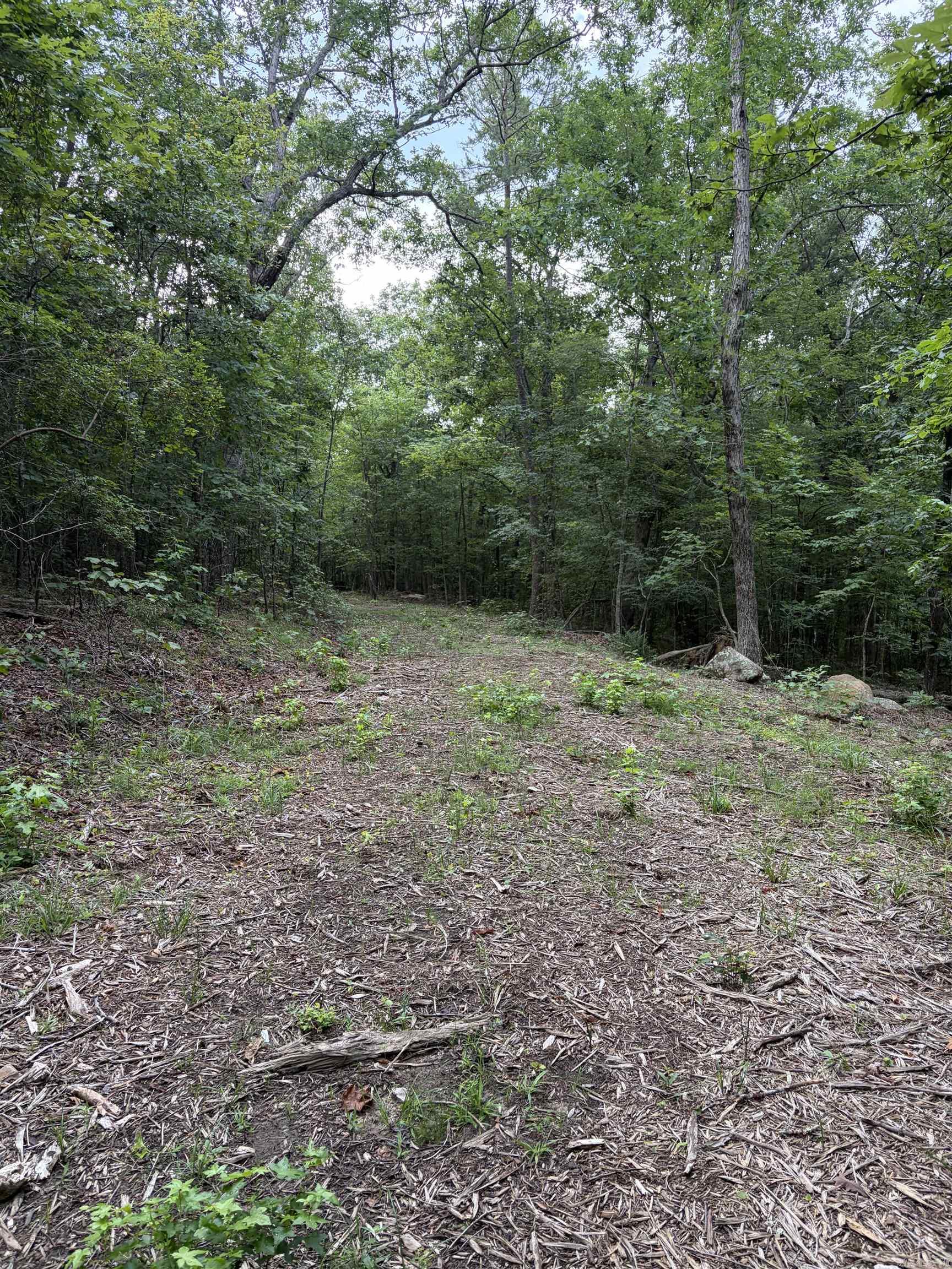 Bear Mountain Rd. Property Photo 7