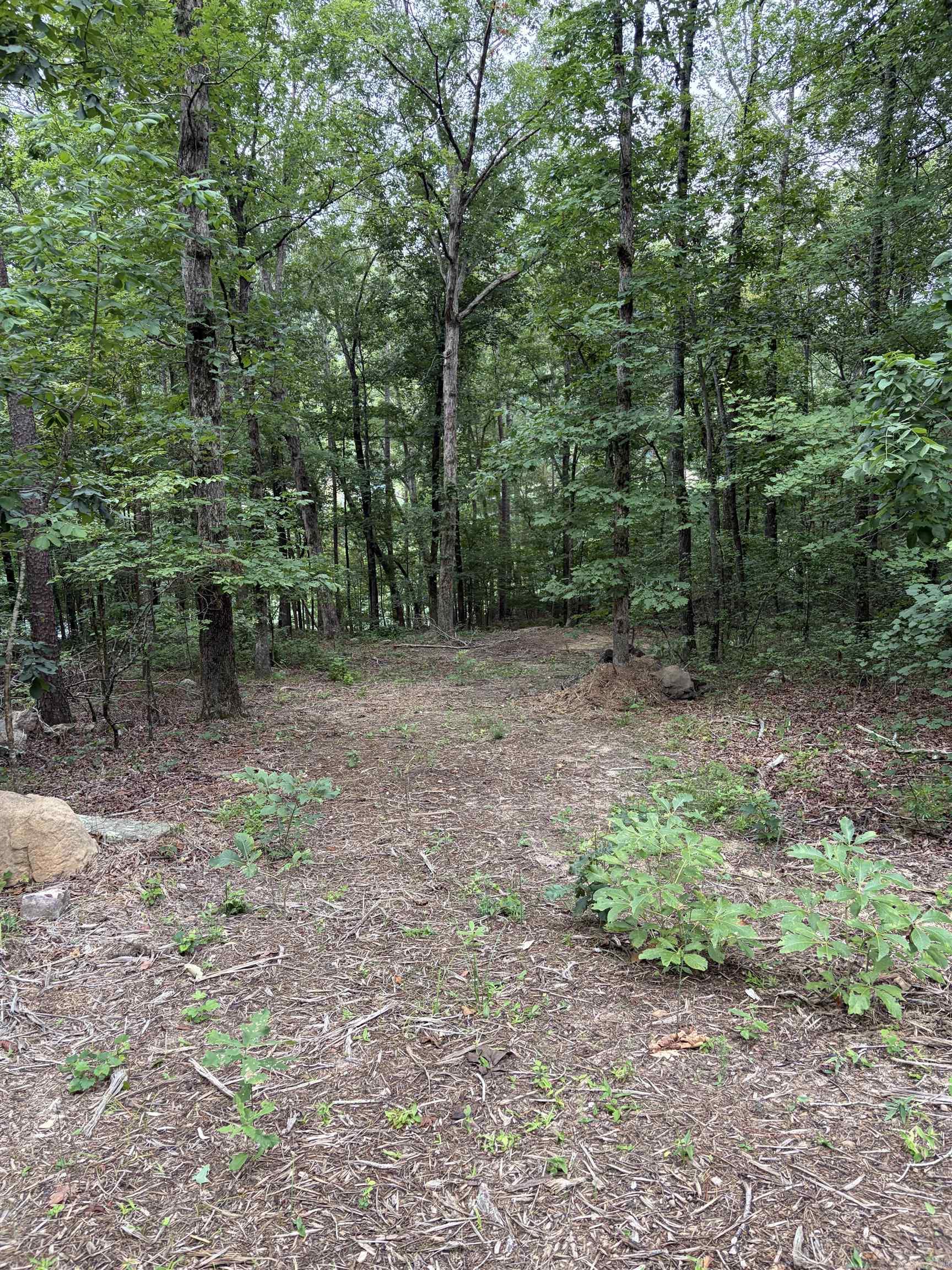 Bear Mountain Rd. Property Photo 9