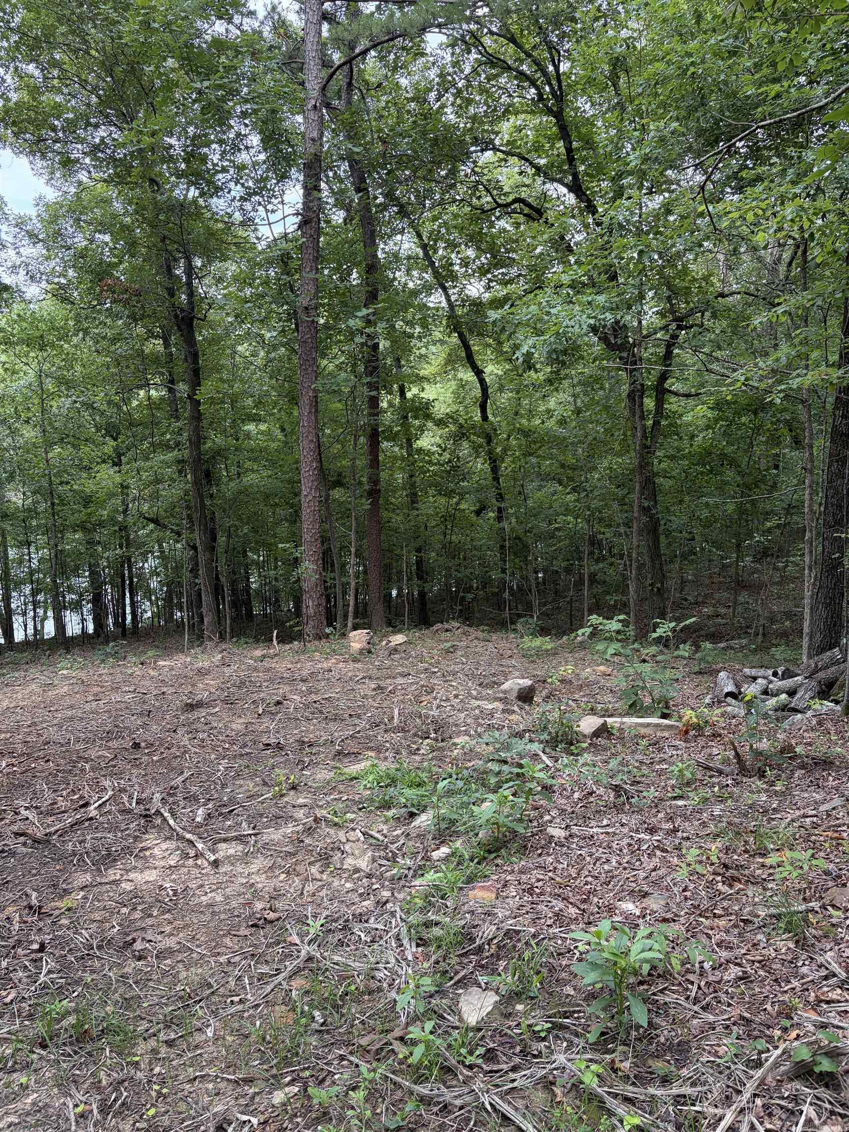 Bear Mountain Rd. Property Photo 11