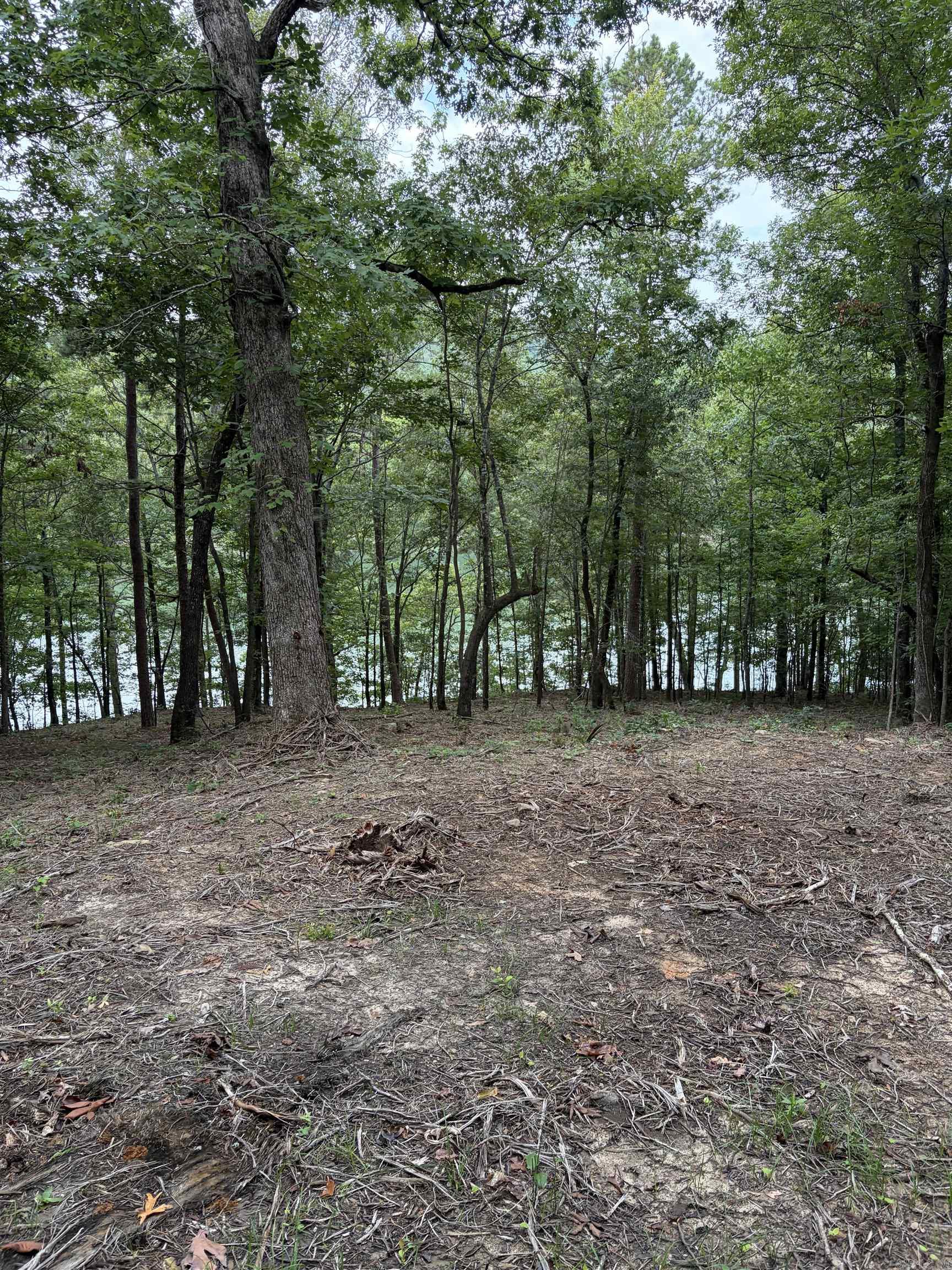 Bear Mountain Rd. Property Photo 12