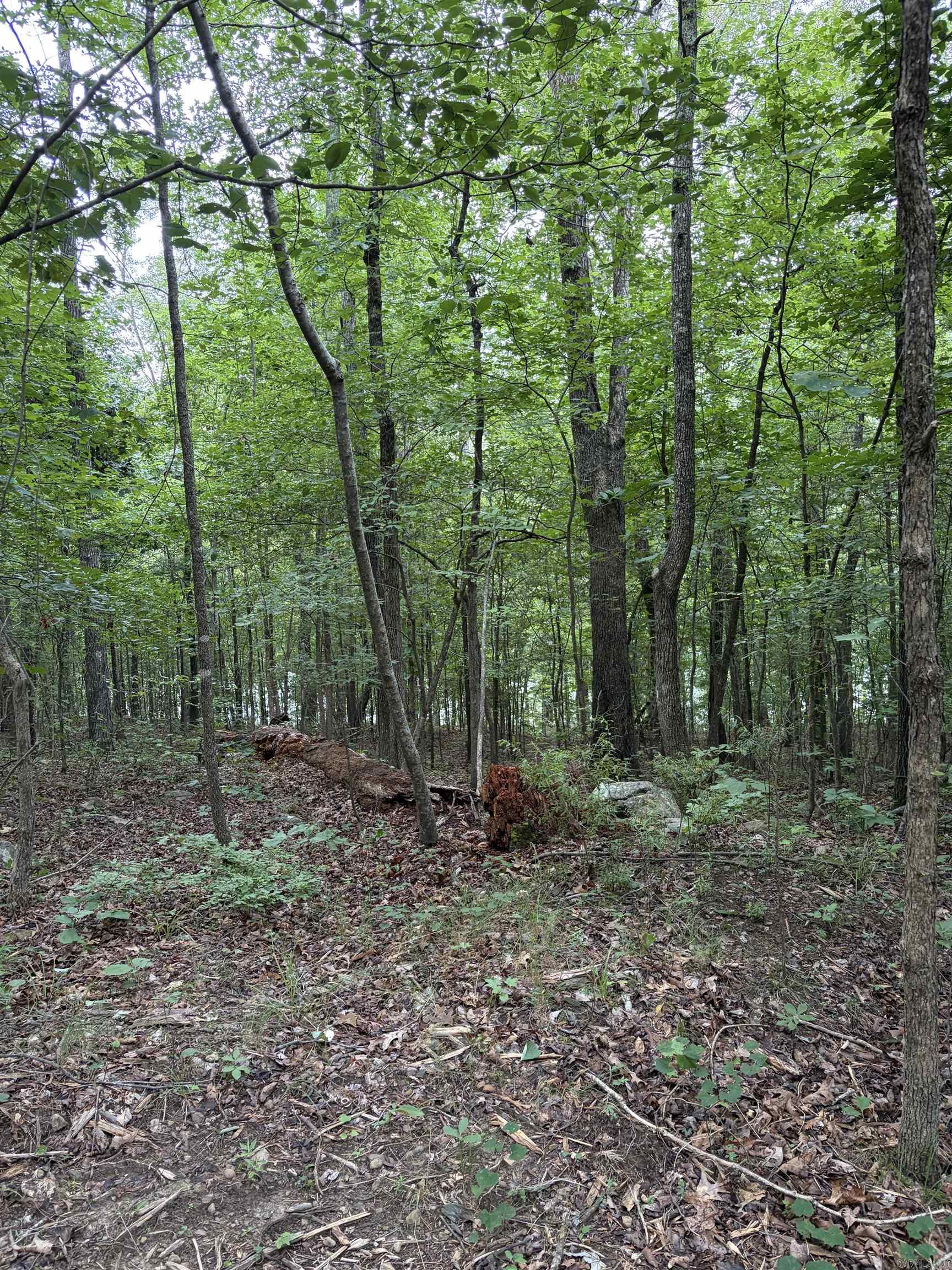 Bear Mountain Rd. Property Photo 13