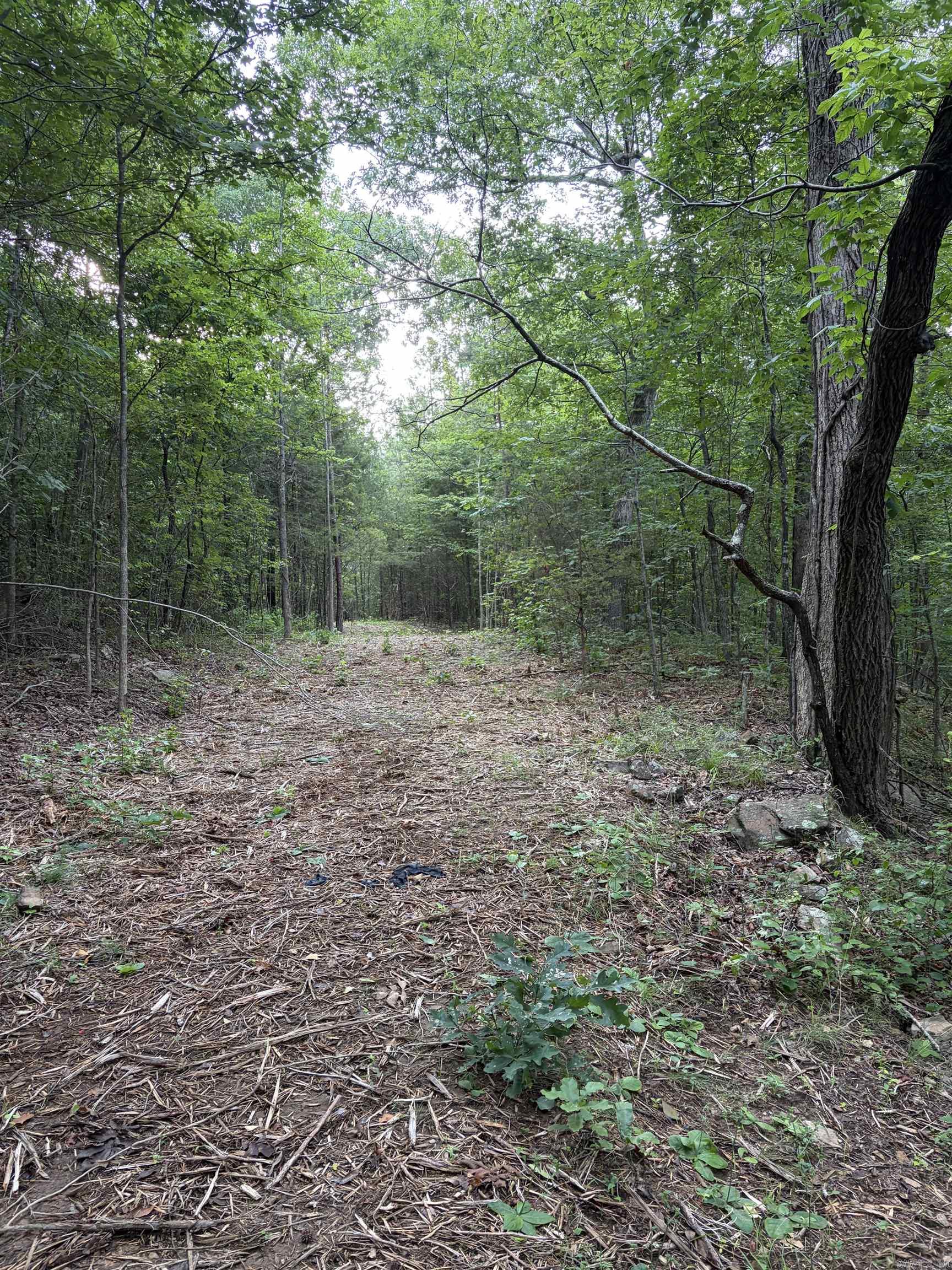 Bear Mountain Rd. Property Photo 14