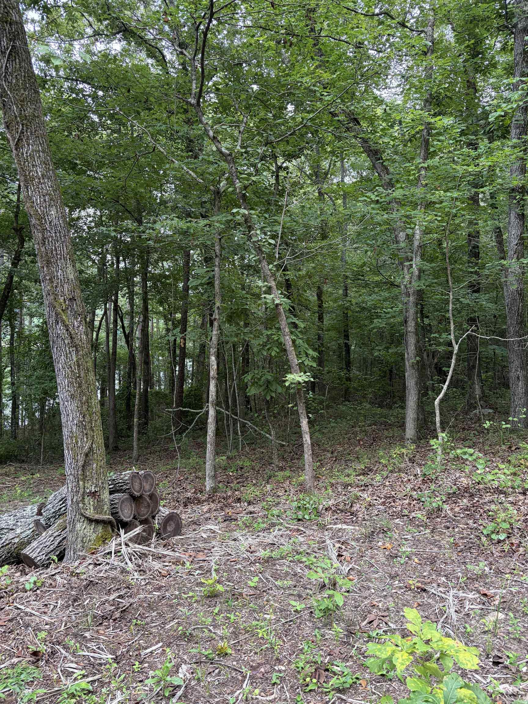 Bear Mountain Rd. Property Photo 15