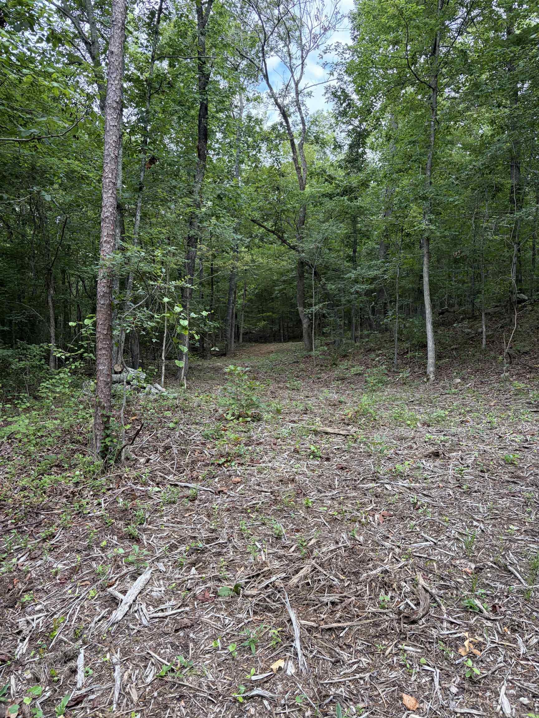 Bear Mountain Rd. Property Photo 16
