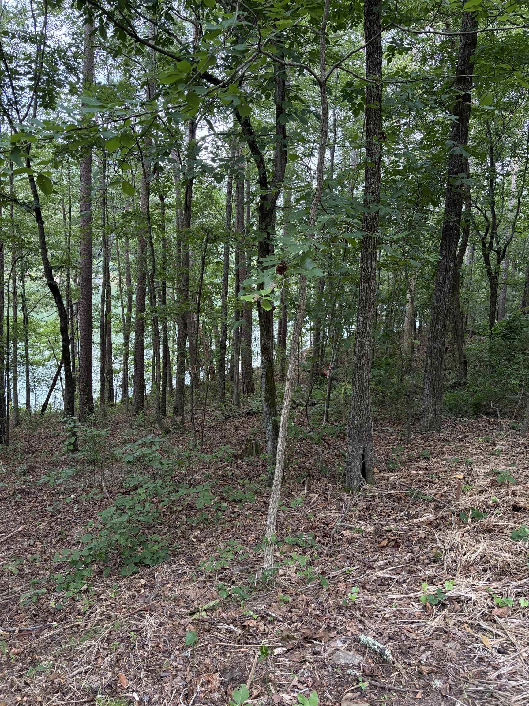 Bear Mountain Rd. Property Photo 17