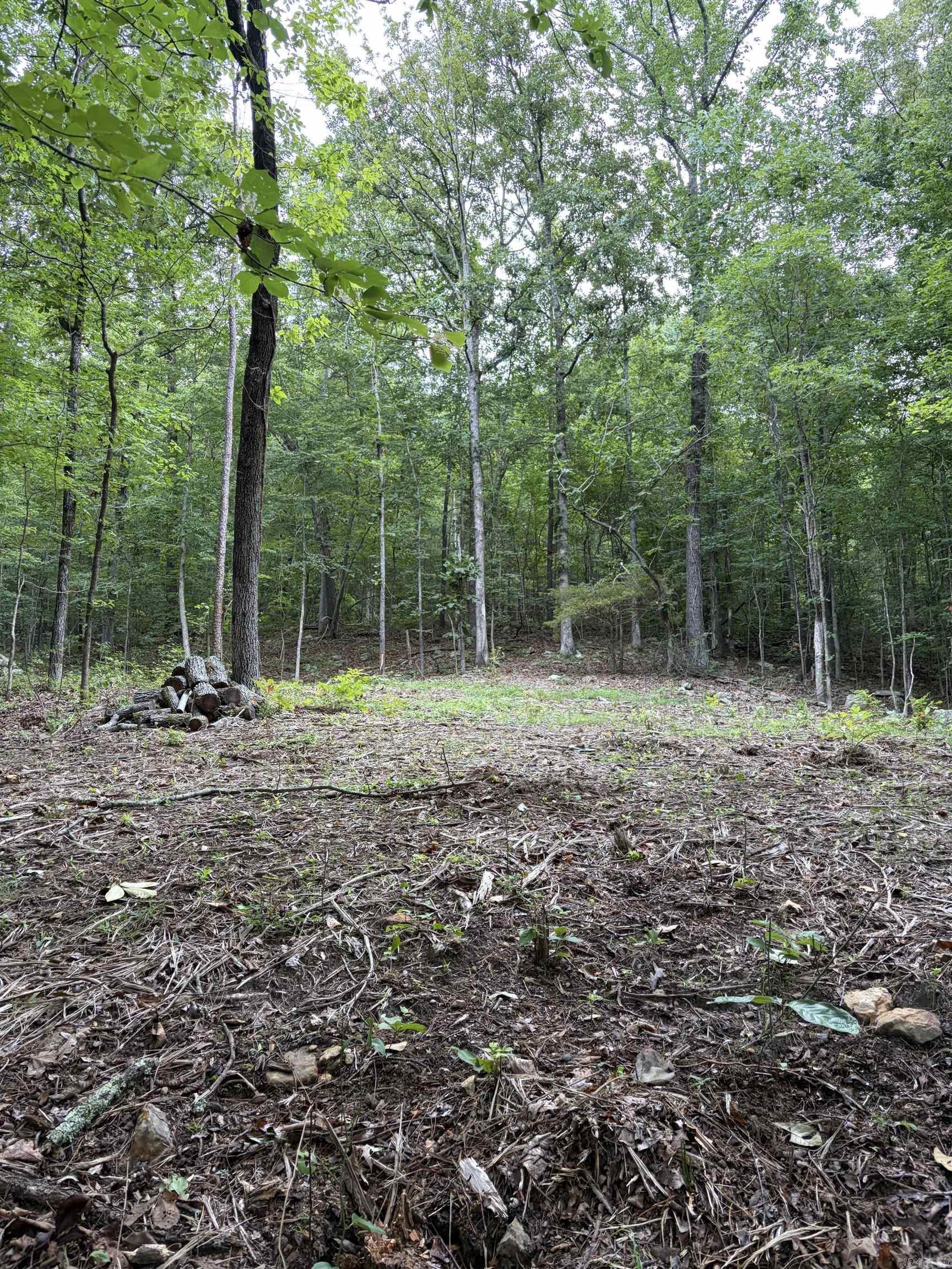 Bear Mountain Rd. Property Photo 18
