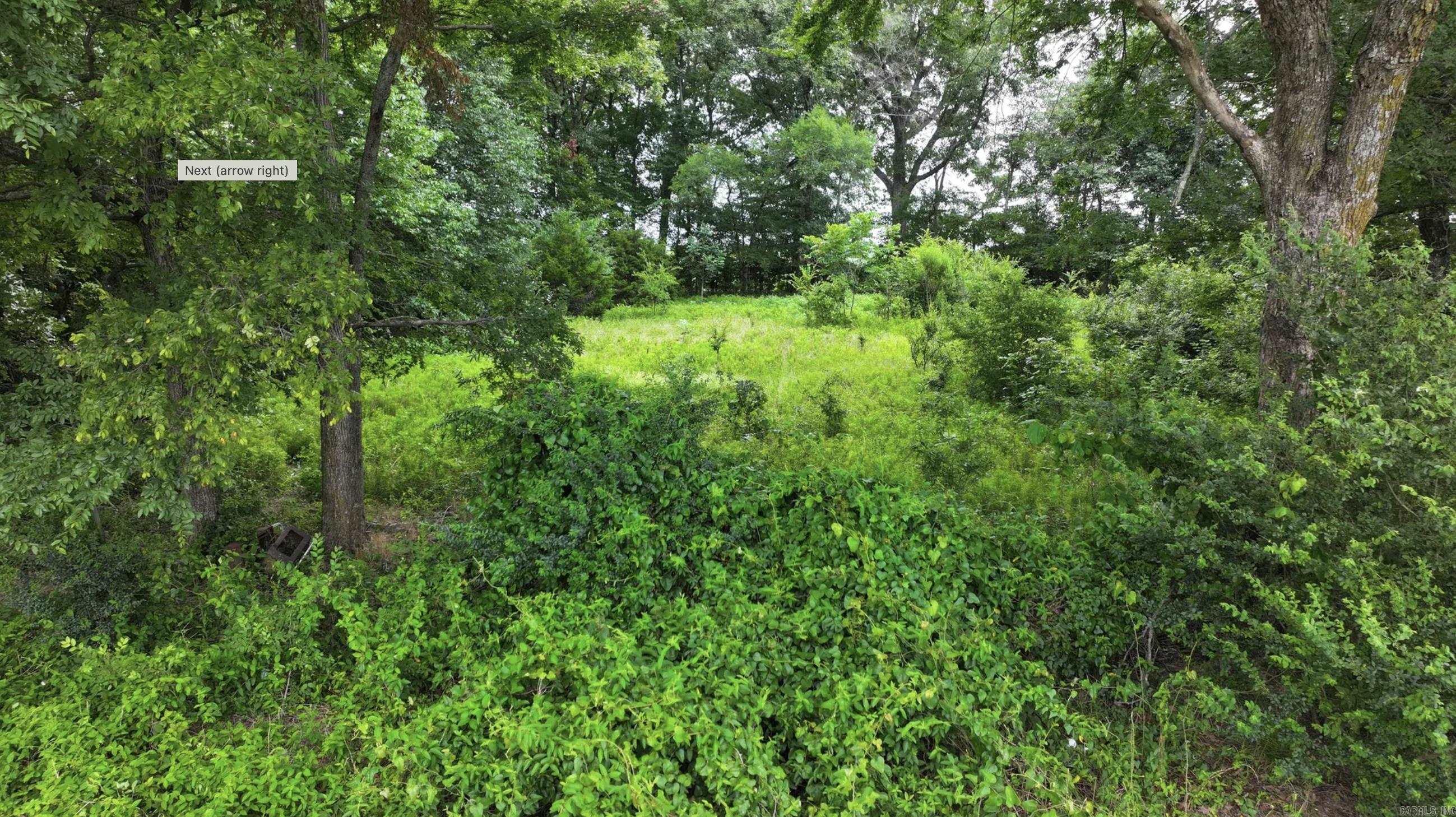 0 Bodiford Lane Property Photo 8