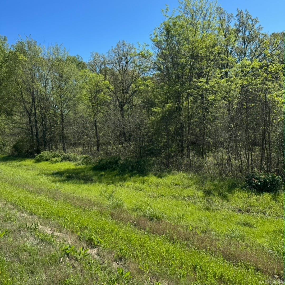 1630 Hwy 67 Highway Property Photo 2