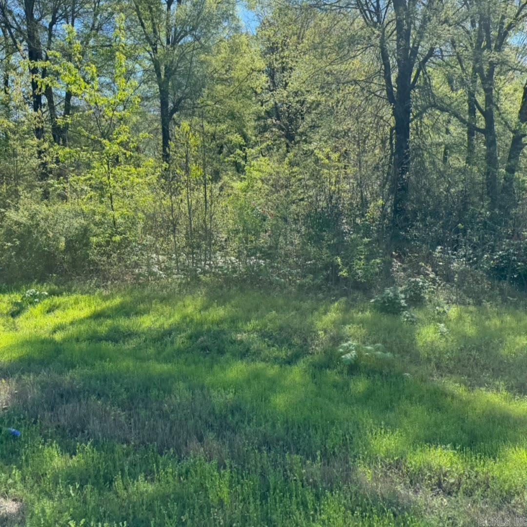 1630 Hwy 67 Highway Property Photo 3