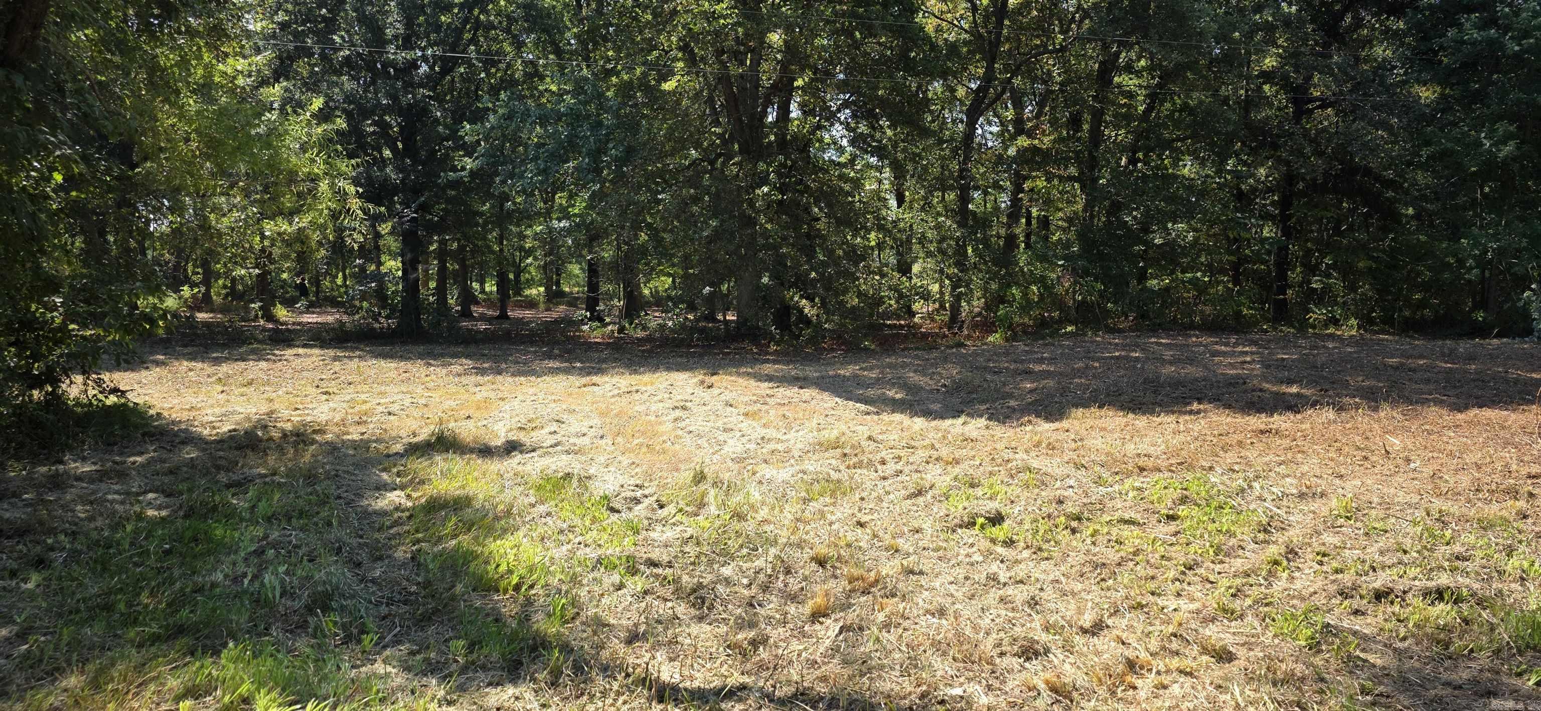 1630 Hwy 67 Highway Property Photo 7