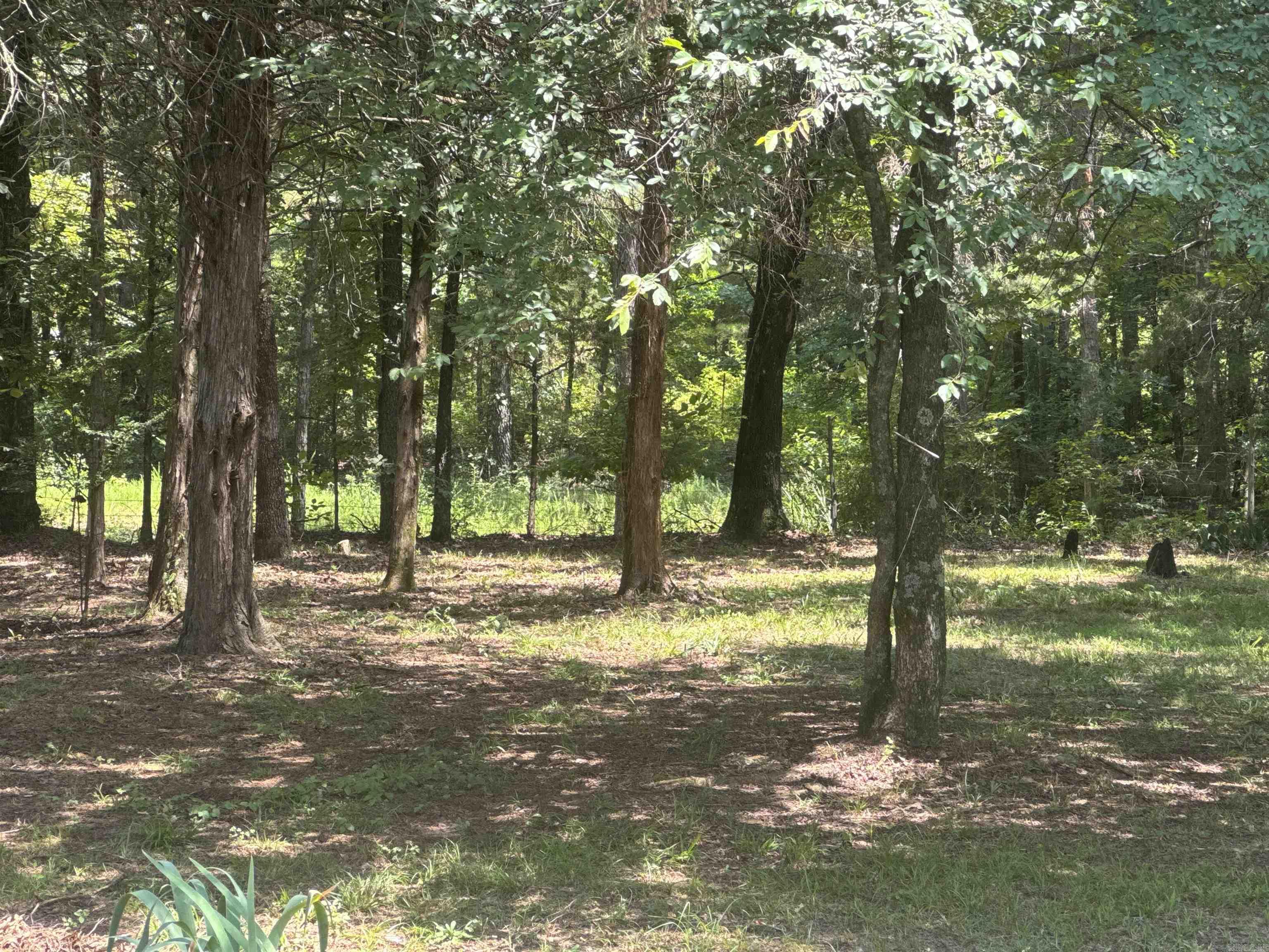1691 Cr 3291 Property Photo 20