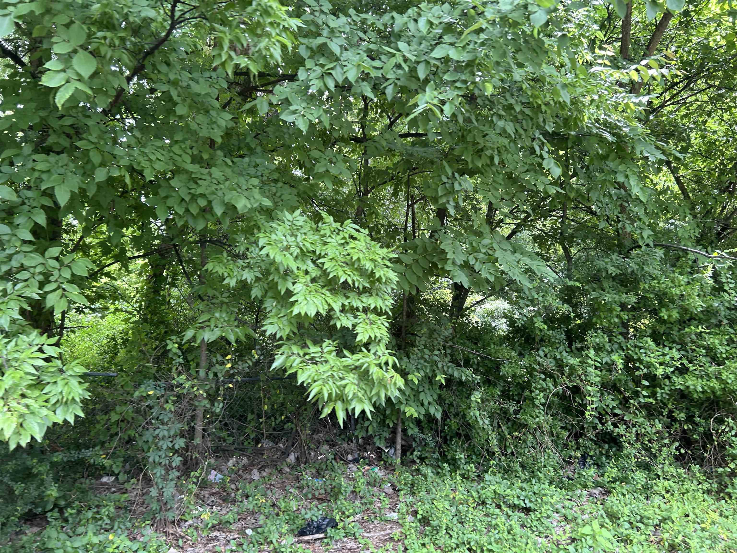 128 S 10th St Property Photo 3