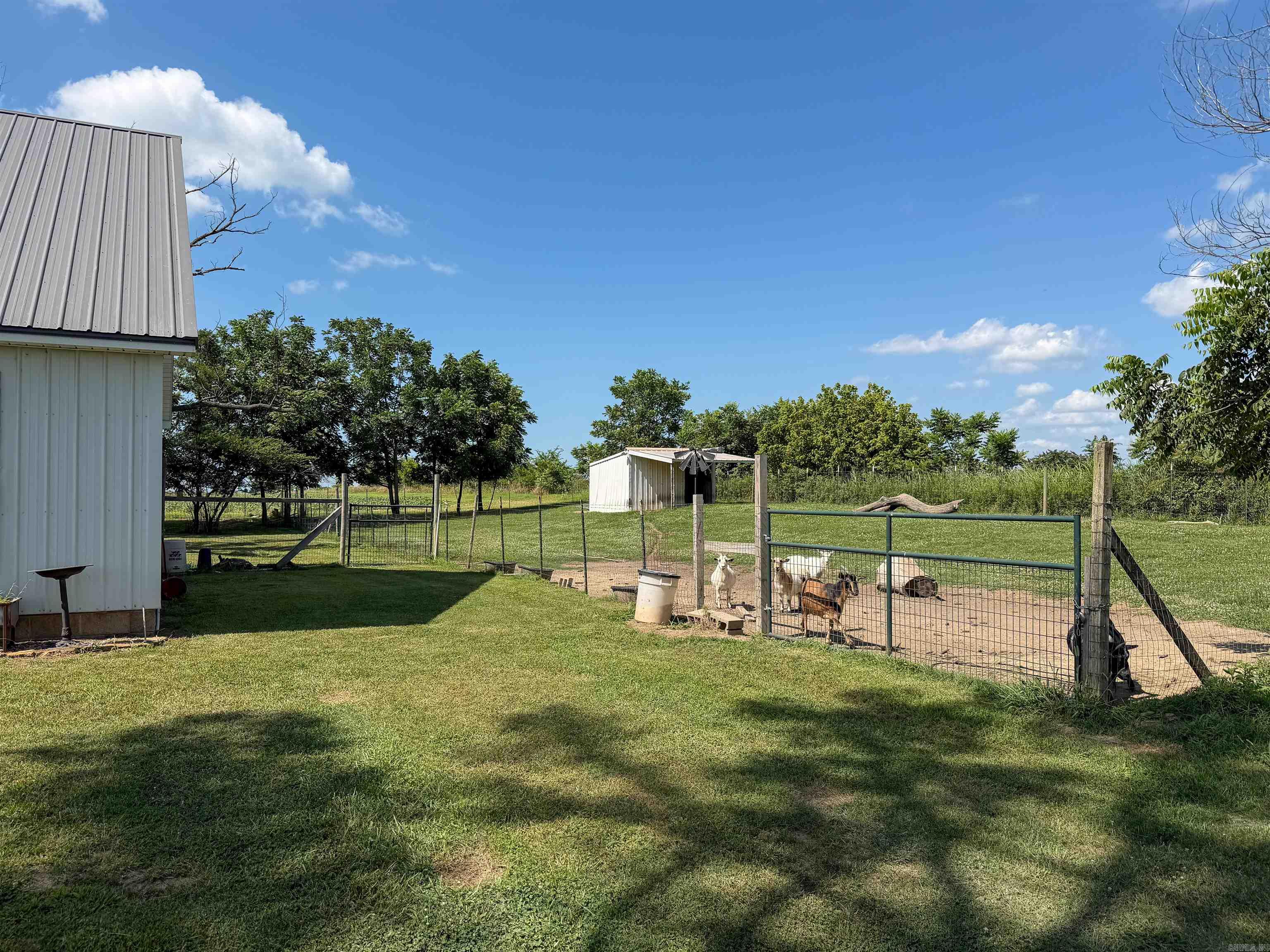 758 County Road 648 Property Photo 14