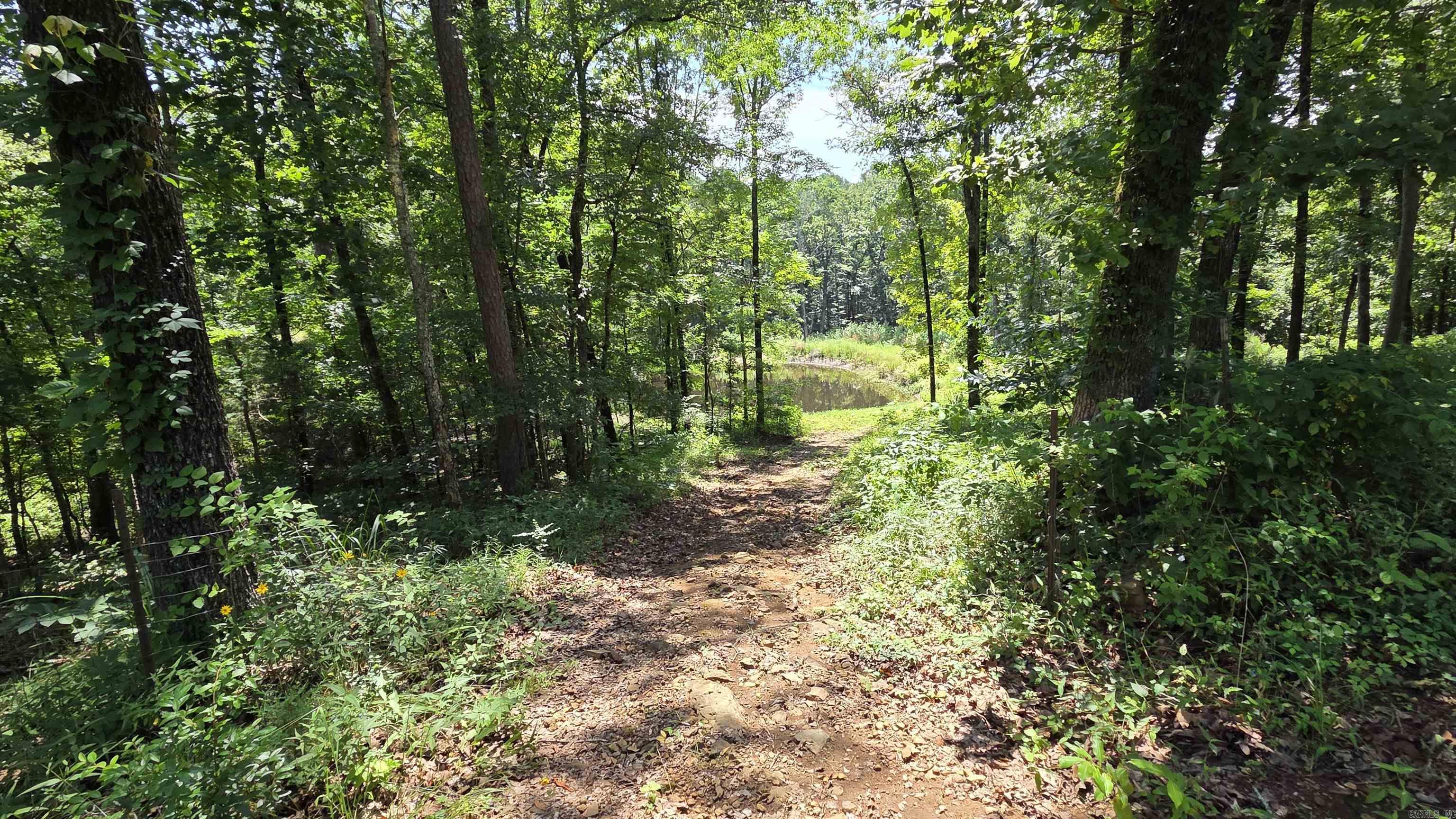 5217 Burnt Rigde Road Property Photo 3