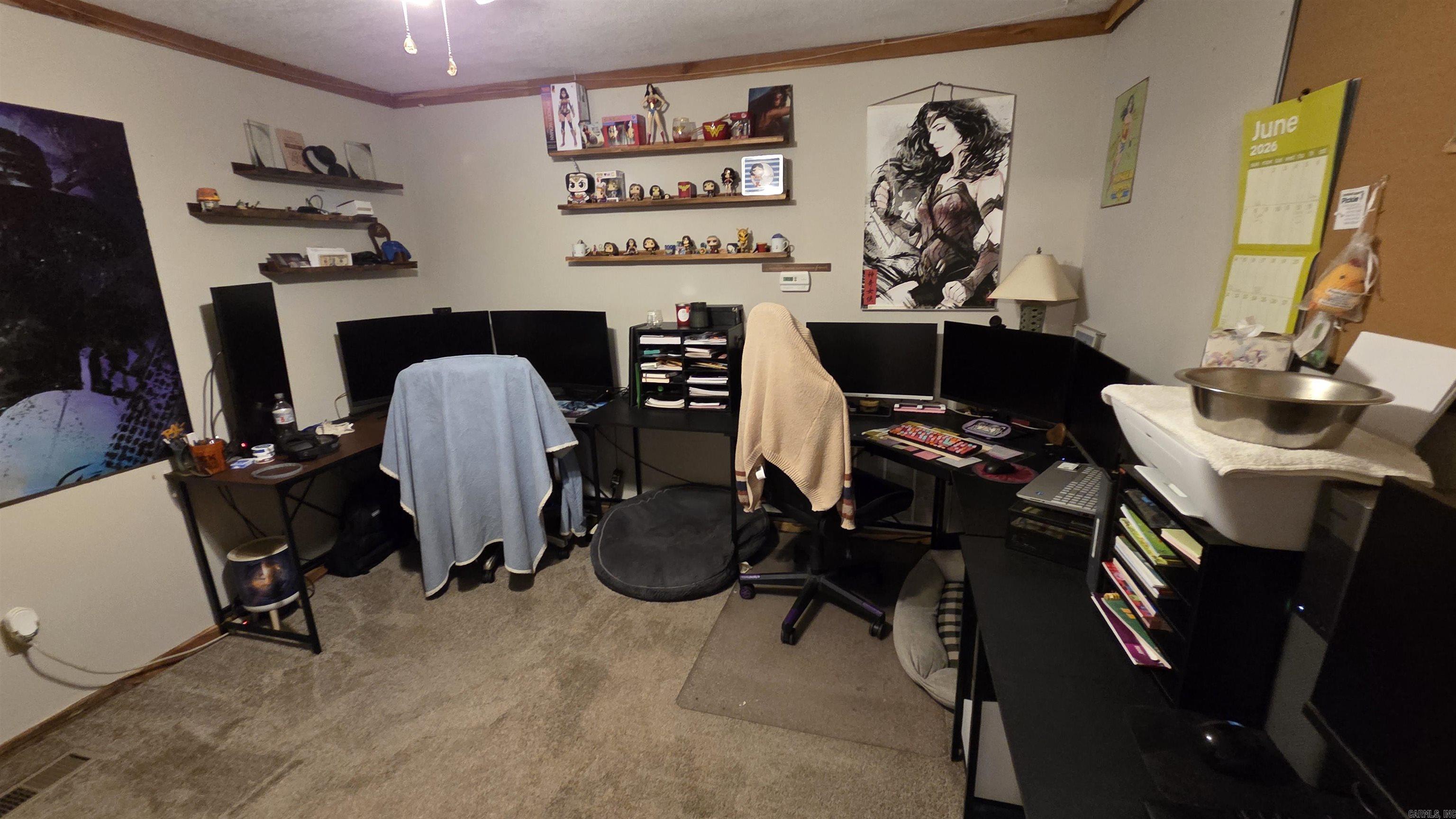 5217 Burnt Rigde Road Property Photo 13