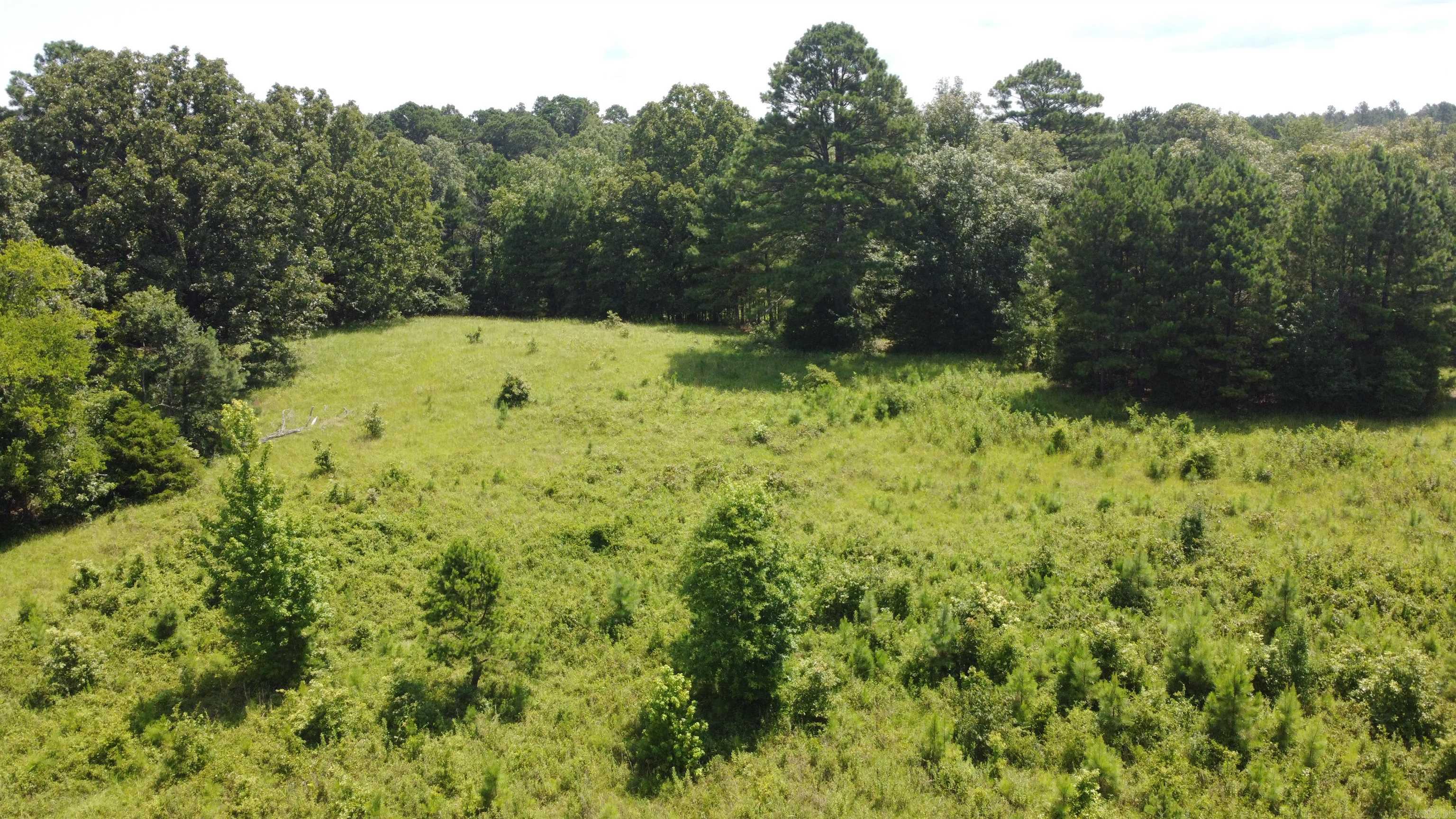 334 Highway 347 Property Photo 4