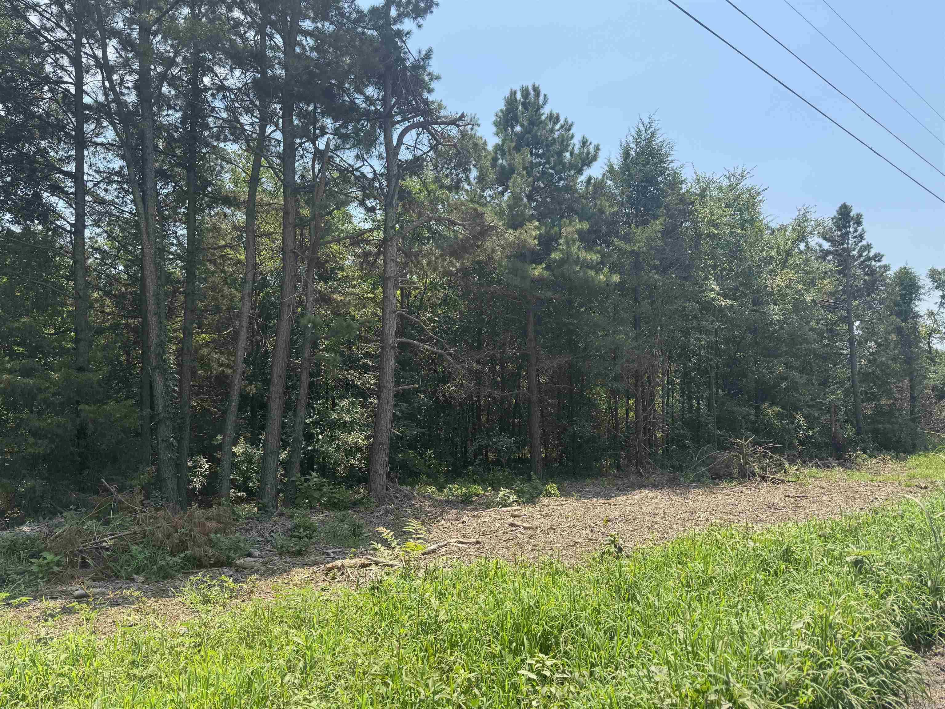 2.75 Acres Cr 2141 Property Photo 1