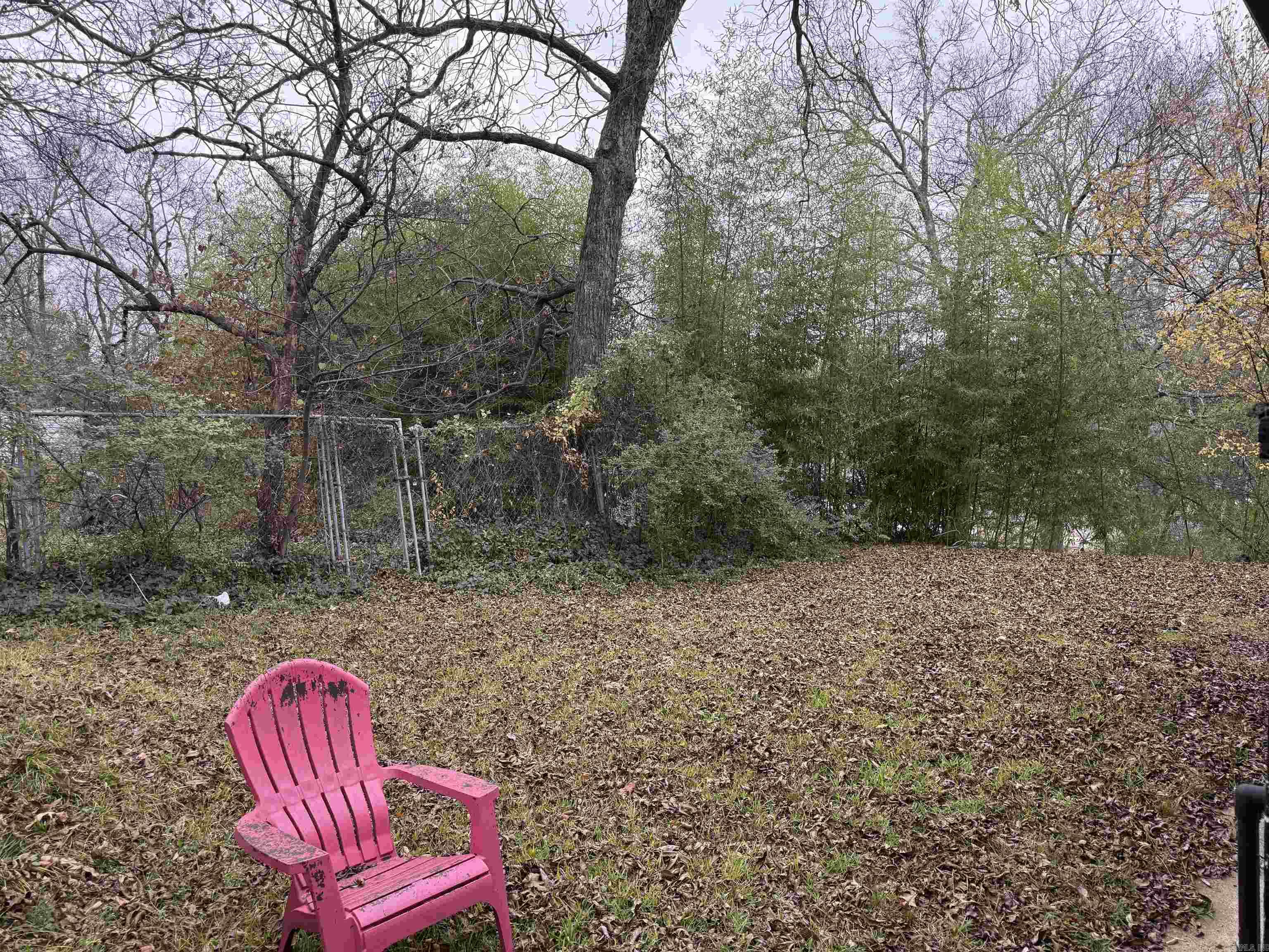 231 Oak Street Property Photo 14