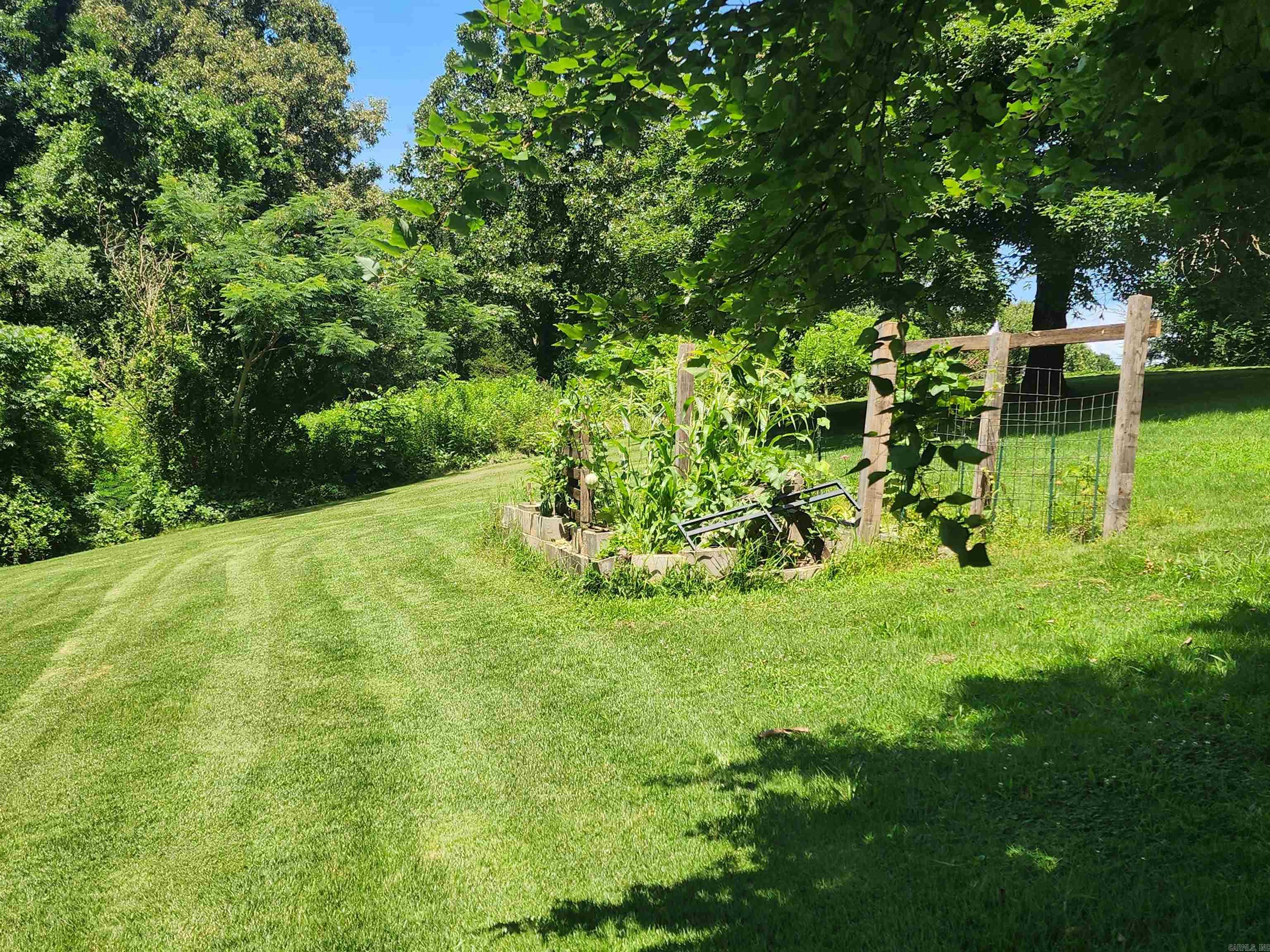 458 Tutt Place Property Photo 10